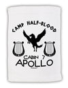 Cabin 7 Apollo Camp Half Blood Micro Terry Sport Towel 11 x 18 inches-TooLoud-White-Davson Sales