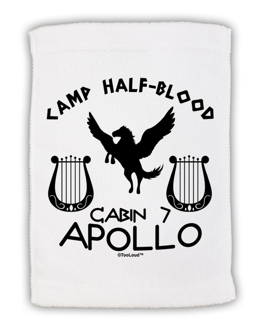 Cabin 7 Apollo Camp Half Blood Micro Terry Sport Towel 11 x 18 inches-TooLoud-White-Davson Sales