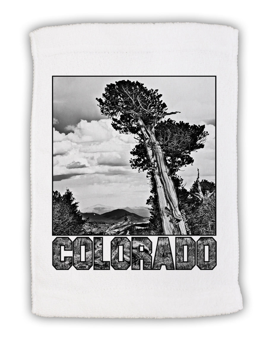 Colorado Landscape Text BW Micro Terry Sport Towel 11 x 18 inches-TooLoud-White-Davson Sales