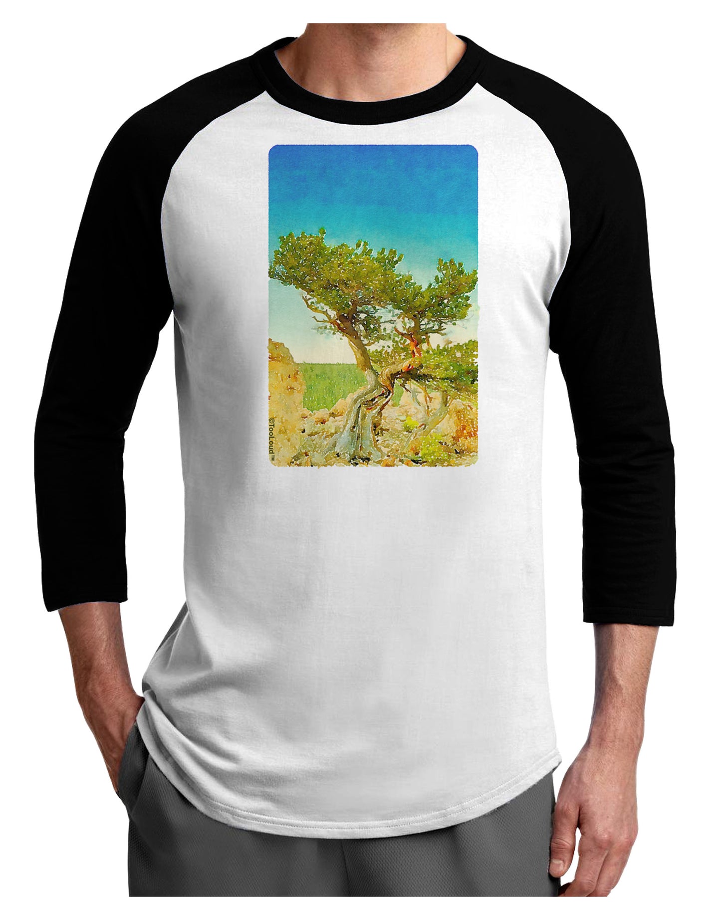Colorado Tree Watercolor Adult Raglan Shirt-TooLoud-White-Black-X-Small-Davson Sales