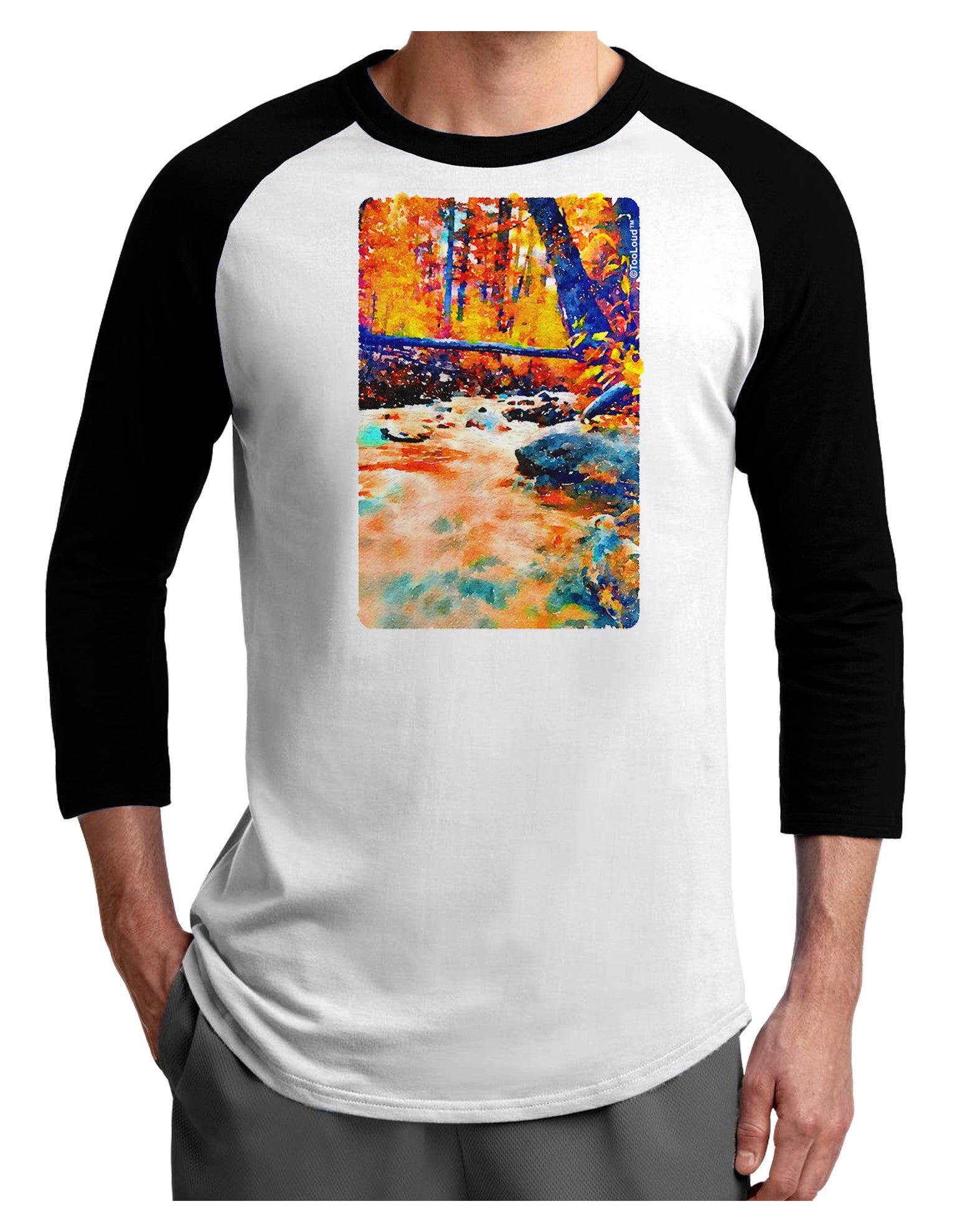 Mt Shavano Colorado Watercolor Adult Raglan Shirt-TooLoud-White-Black-X-Small-Davson Sales