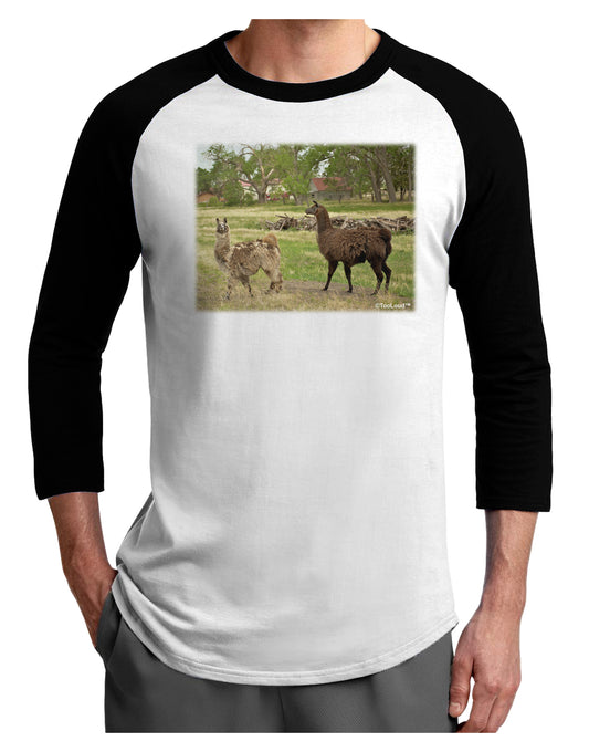 Standing Llamas Adult Raglan Shirt by TooLoud-TooLoud-White-Black-X-Small-Davson Sales