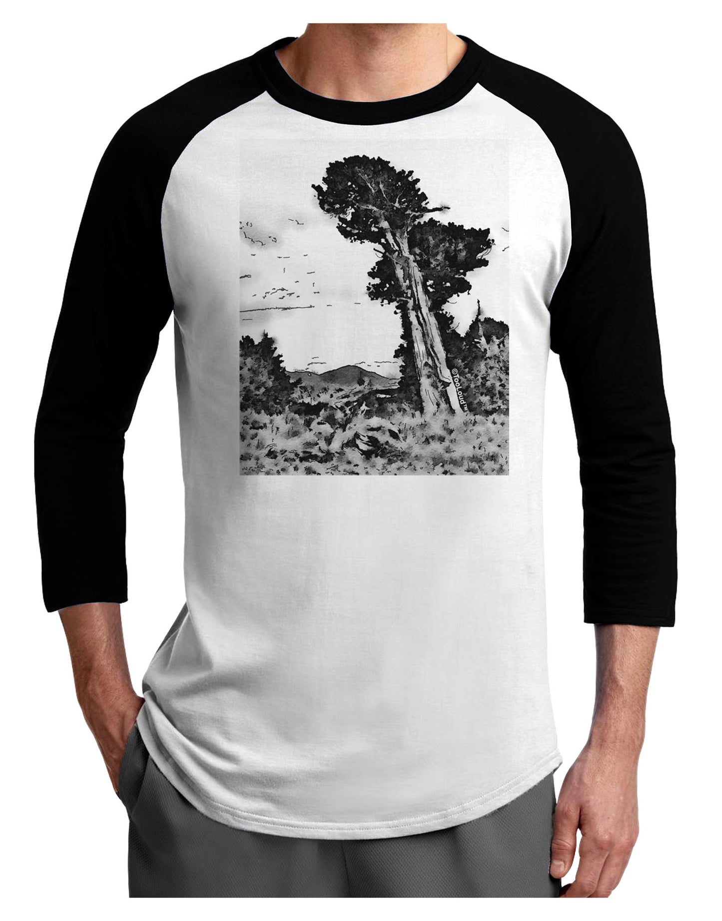 Colorado Landscape Watercolor BW Adult Raglan Shirt-TooLoud-White-Black-X-Small-Davson Sales