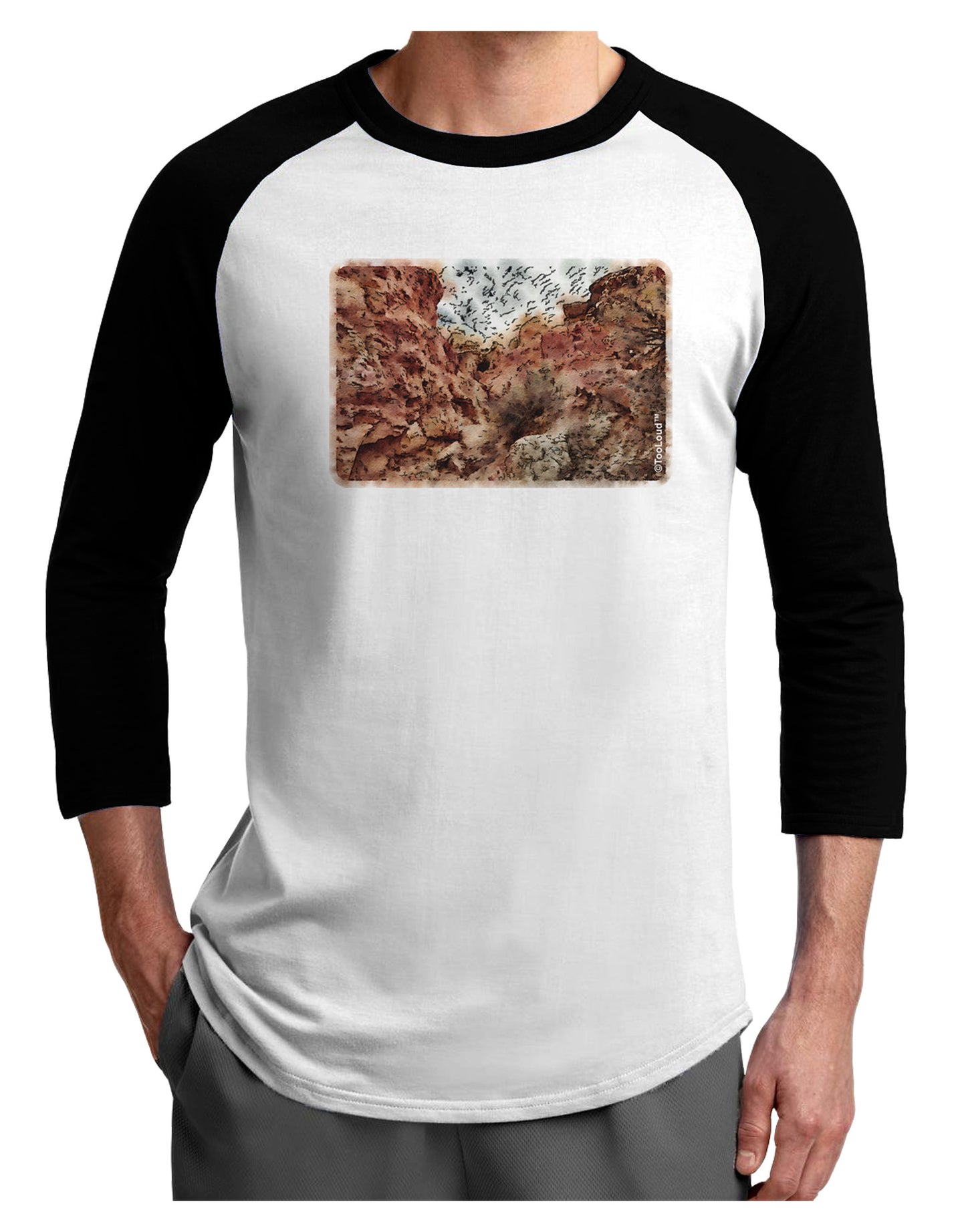 Colorado Painted Rocks Watercolor Adult Raglan Shirt-Raglan Shirt-TooLoud-White-Black-X-Small-Davson Sales