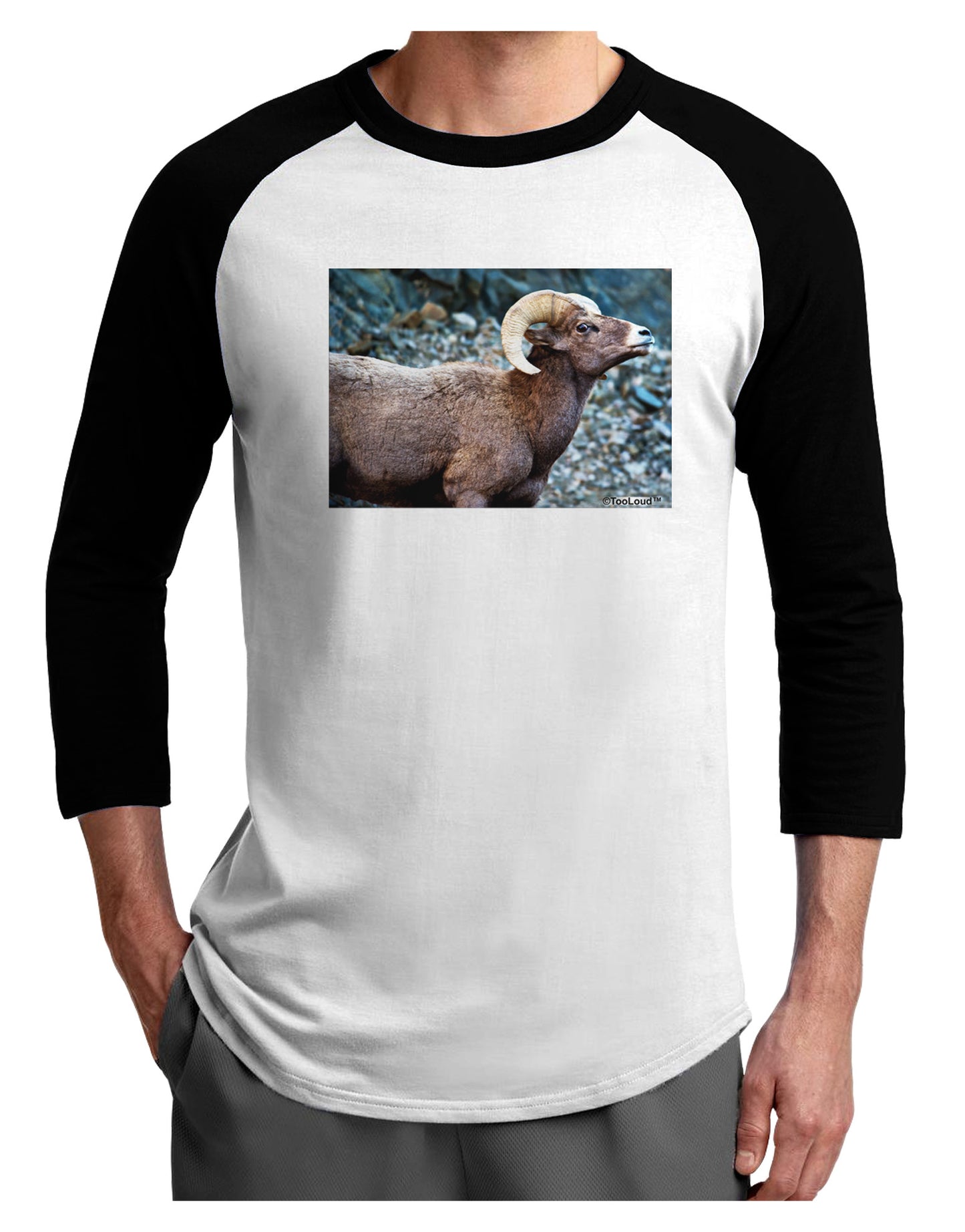 TooLoud Wide Eyed Big Horn Adult Raglan Shirt-Raglan Shirt-TooLoud-White-Black-X-Small-Davson Sales