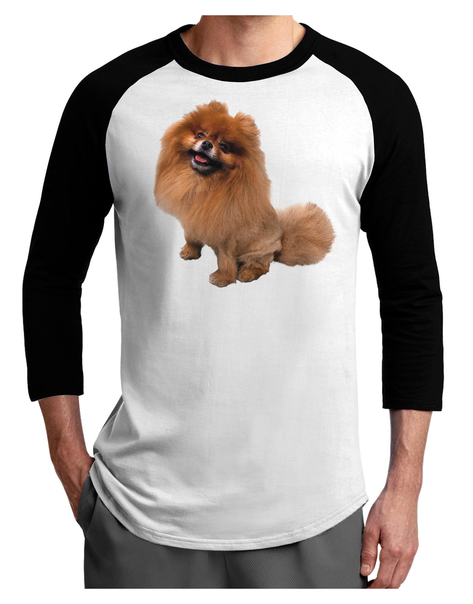 Pomeranian Sitting All Cute-Like Adult Raglan Shirt-Raglan Shirt-TooLoud-White-Black-X-Small-Davson Sales