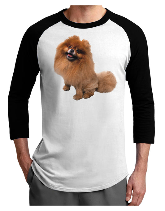 Pomeranian Sitting All Cute-Like Adult Raglan Shirt-Raglan Shirt-TooLoud-White-Black-X-Small-Davson Sales