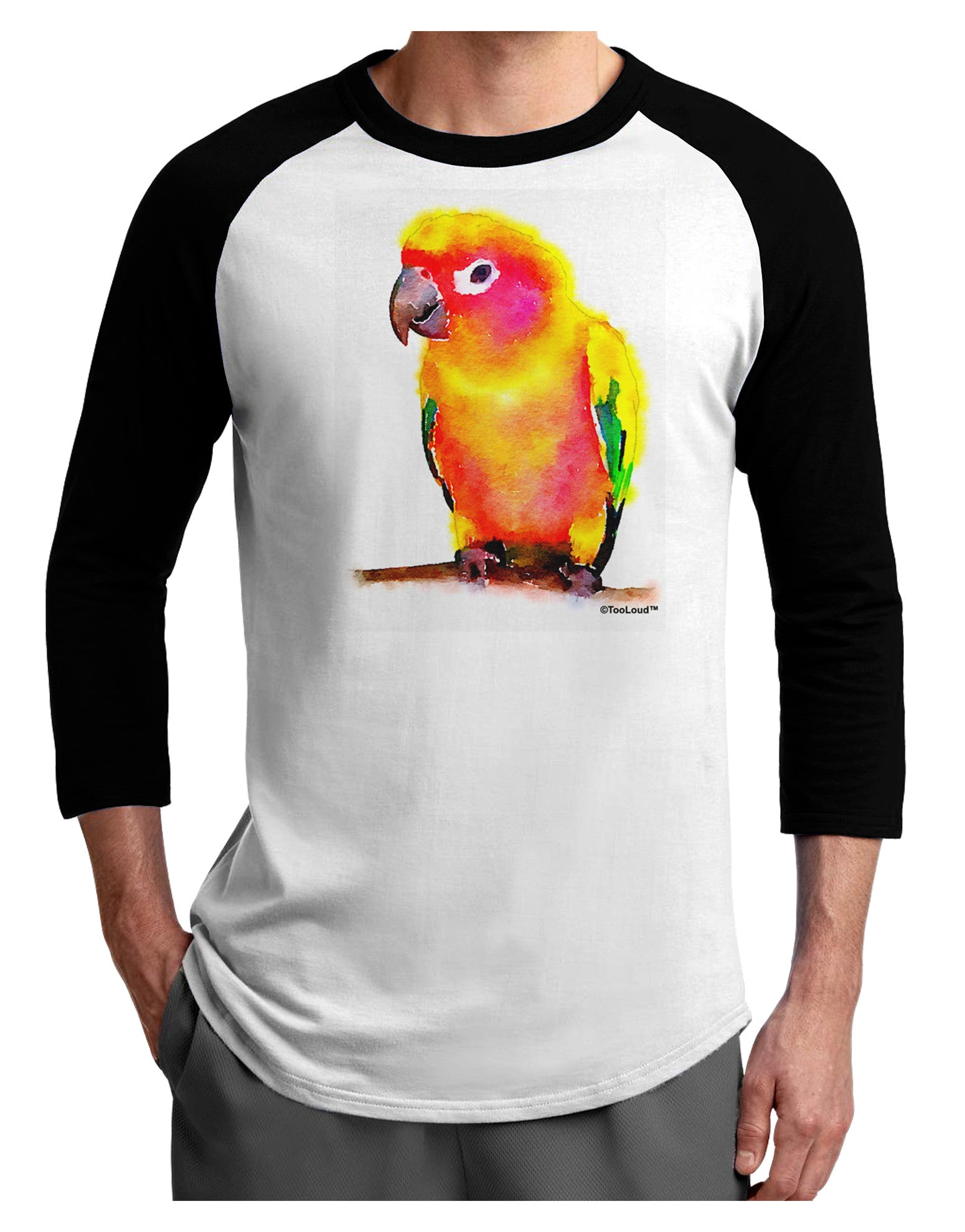 Sun Conure Parrot Watercolor Adult Raglan Shirt-TooLoud-White-Black-X-Small-Davson Sales