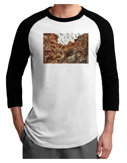 Colorado Painted Rocks Adult Raglan Shirt-Raglan Shirt-TooLoud-White-Black-X-Small-Davson Sales
