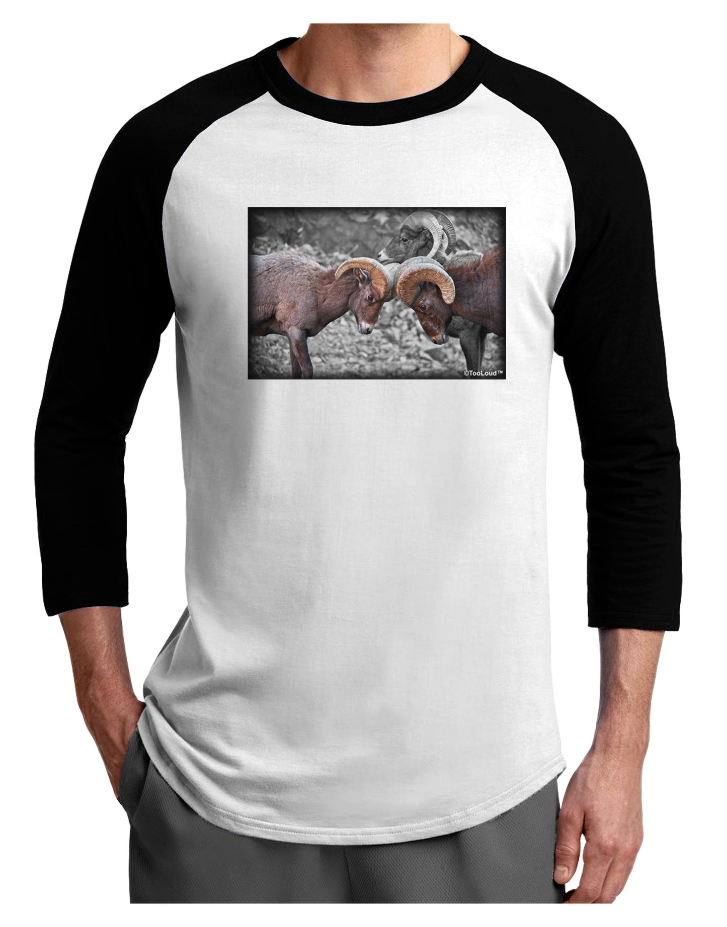 CO Bighorn Head Butt Desaturated Adult Raglan Shirt-TooLoud-White-Black-X-Small-Davson Sales