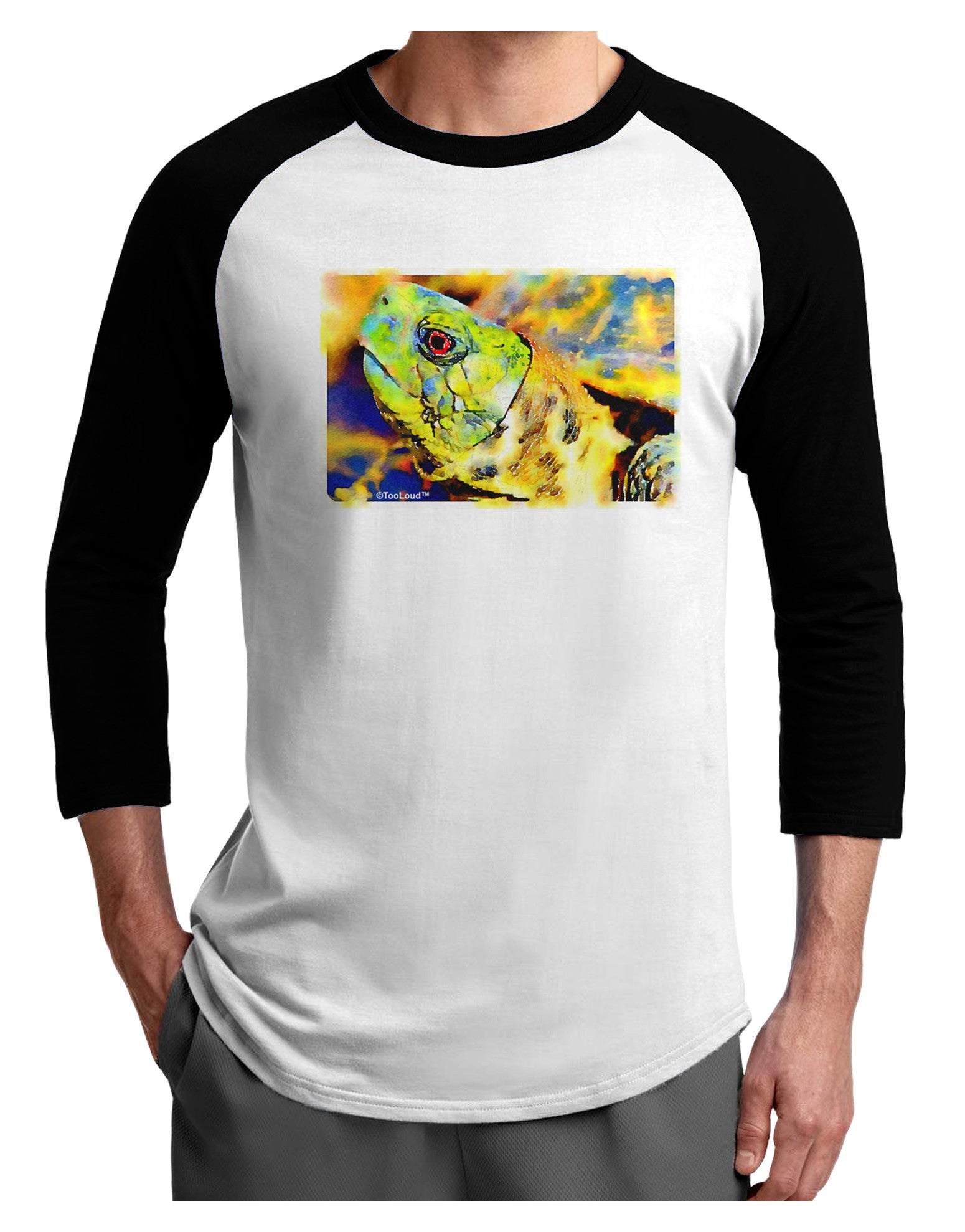 Menacing Turtle Watercolor Adult Raglan Shirt-Raglan Shirt-TooLoud-White-Black-X-Small-Davson Sales