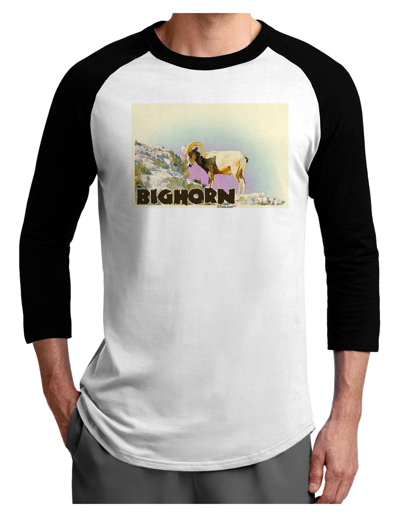 Bighorn Ram WatercolorText Adult Raglan Shirt-TooLoud-White-Black-X-Small-Davson Sales