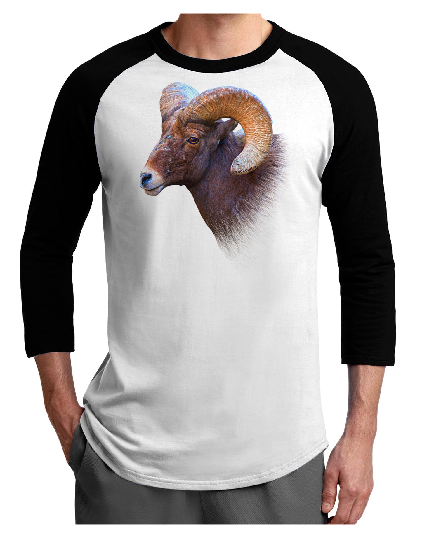 Majestic Bighorn Ram Adult Raglan Shirt-Raglan Shirt-TooLoud-White-Black-X-Small-Davson Sales