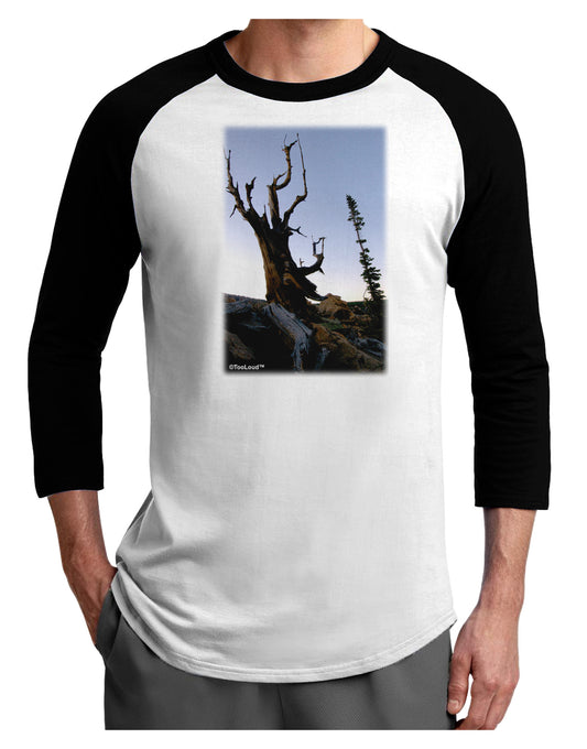 Colorado Mountain Scenery Adult Raglan Shirt-TooLoud-White-Black-X-Small-Davson Sales