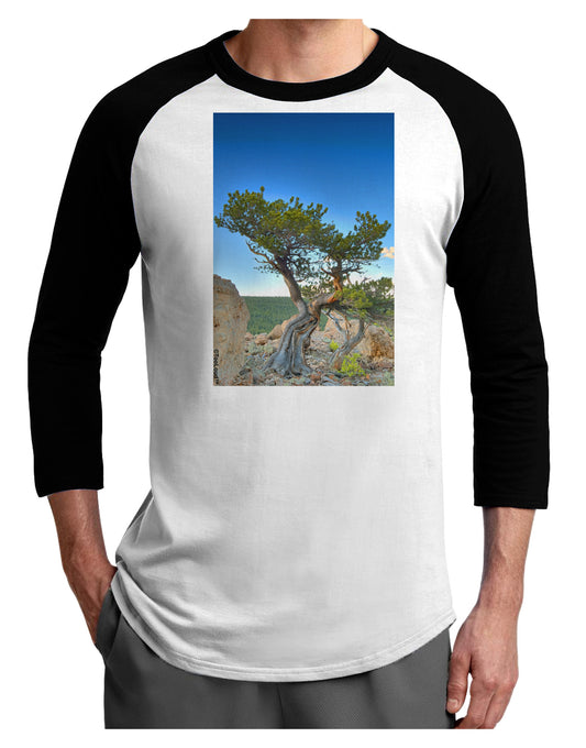 Colorado Landscape Tree Adult Raglan Shirt-TooLoud-White-Black-X-Small-Davson Sales