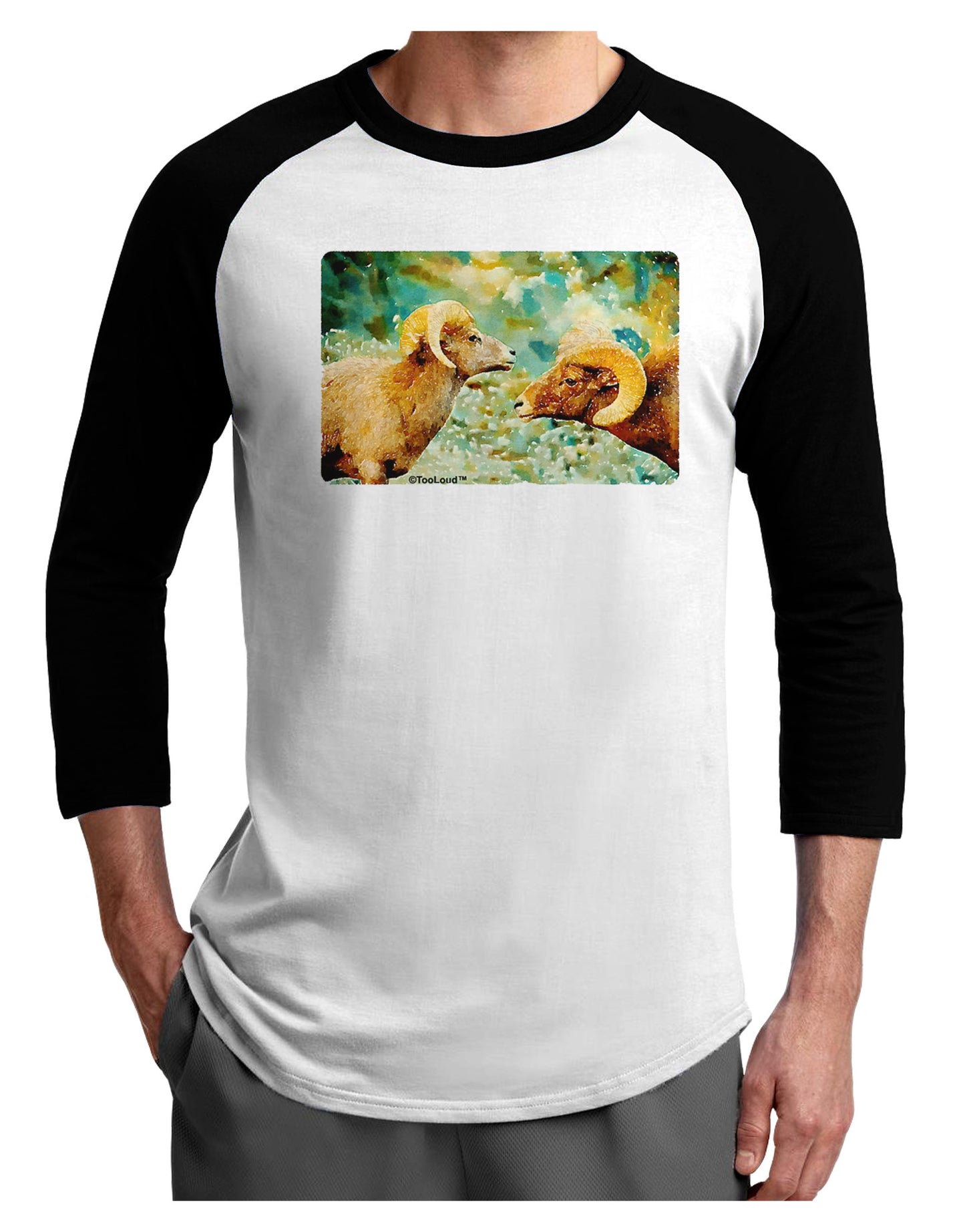 Two Bighorn Rams Watercolor Adult Raglan Shirt-TooLoud-White-Black-X-Small-Davson Sales