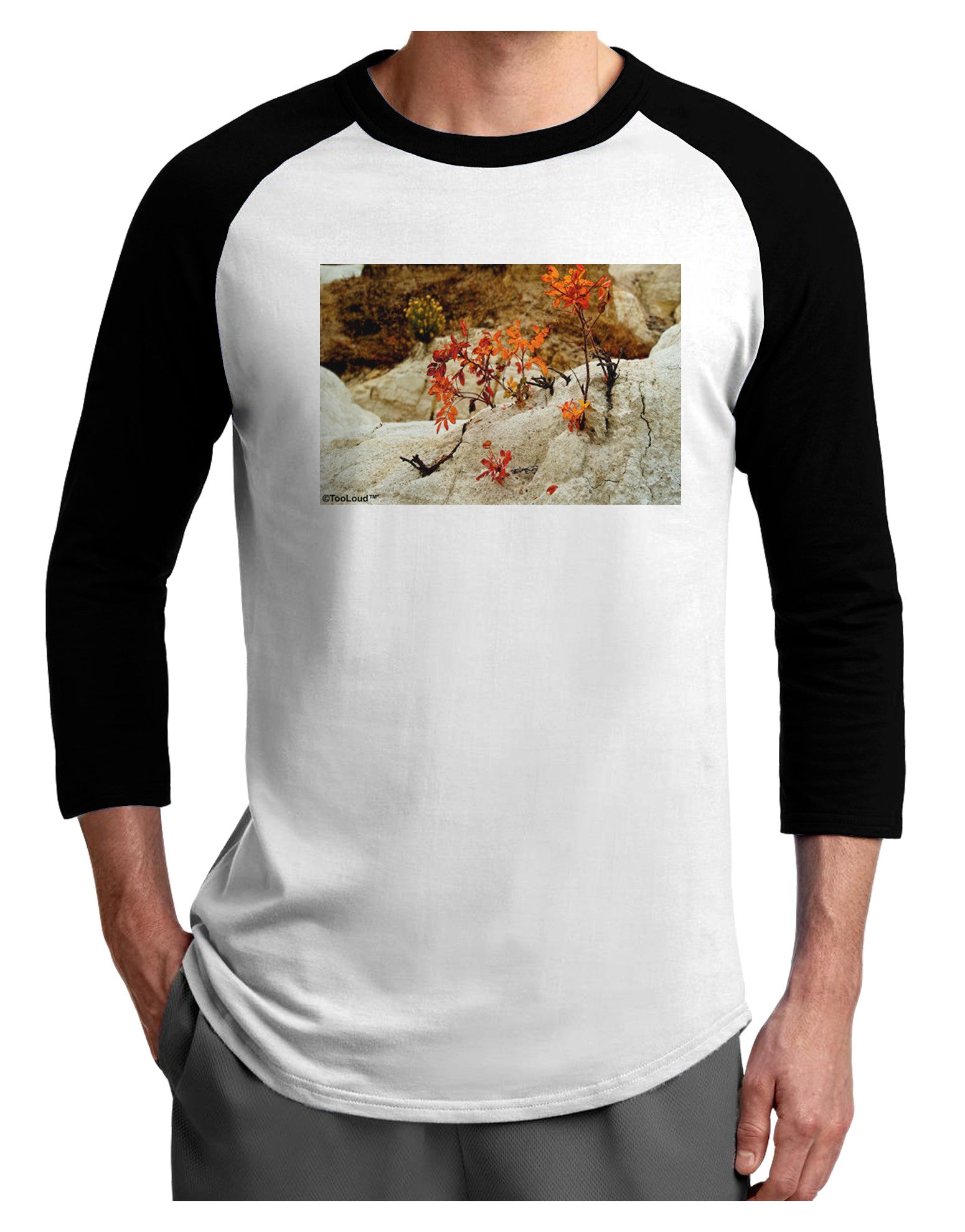 CO Painted Mines Adult Raglan Shirt-Raglan Shirt-TooLoud-White-Black-X-Small-Davson Sales