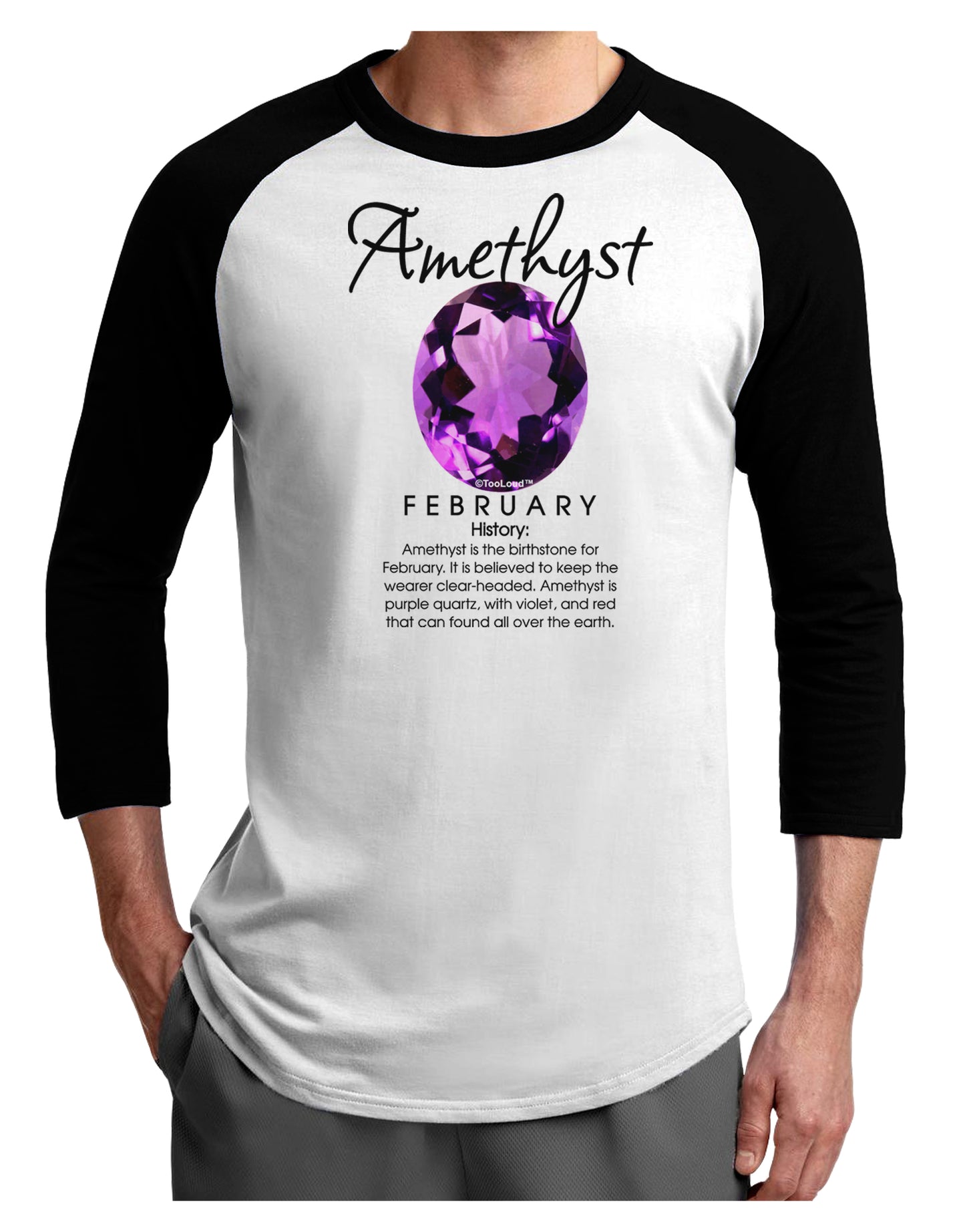 Birthstone Amethyst Adult Raglan Shirt-Raglan Shirt-TooLoud-White-Black-X-Small-Davson Sales