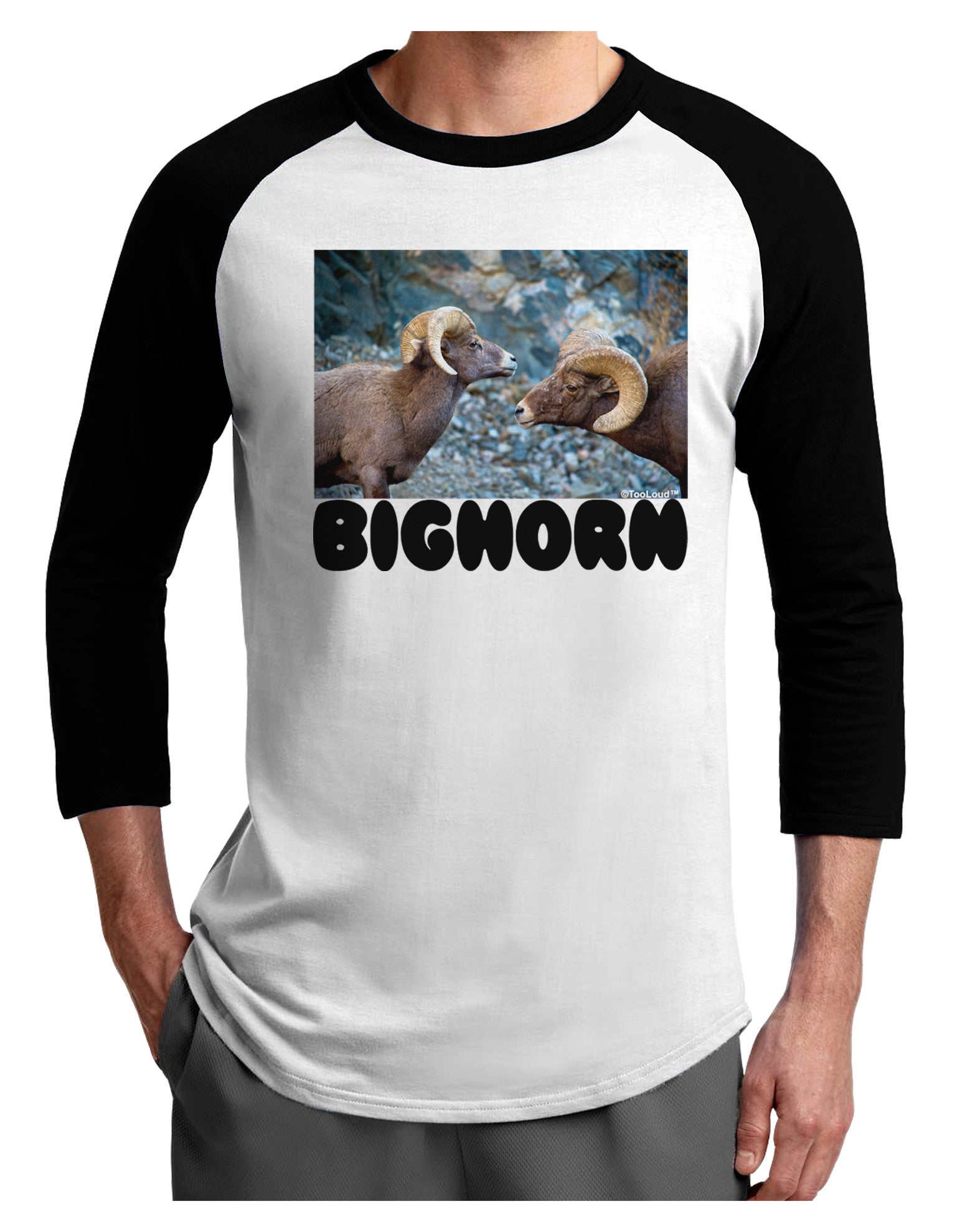 Two Bighorn Rams Text Adult Raglan Shirt-TooLoud-White-Black-X-Small-Davson Sales
