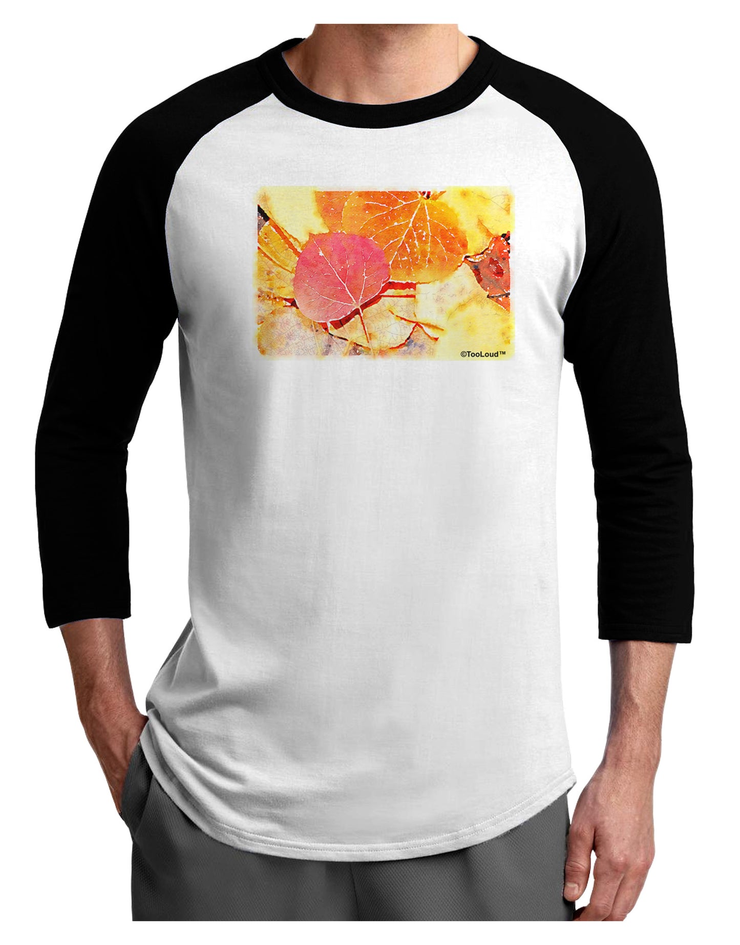 Colorado - Autumn WaterColor Adult Raglan Shirt-Raglan Shirt-TooLoud-White-Black-X-Small-Davson Sales