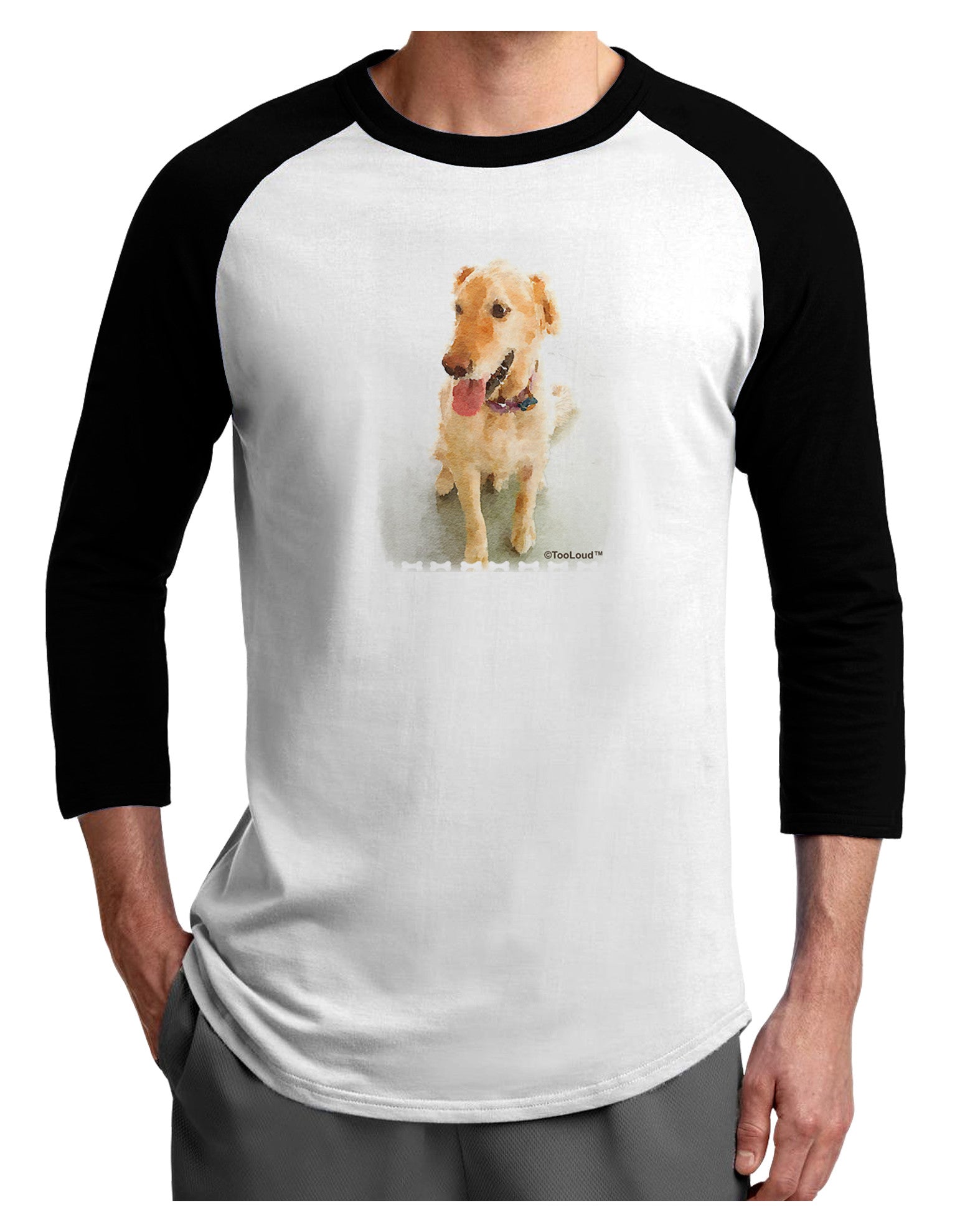 Golden Retriever Watercolor Adult Raglan Shirt-Raglan Shirt-TooLoud-White-Black-X-Small-Davson Sales