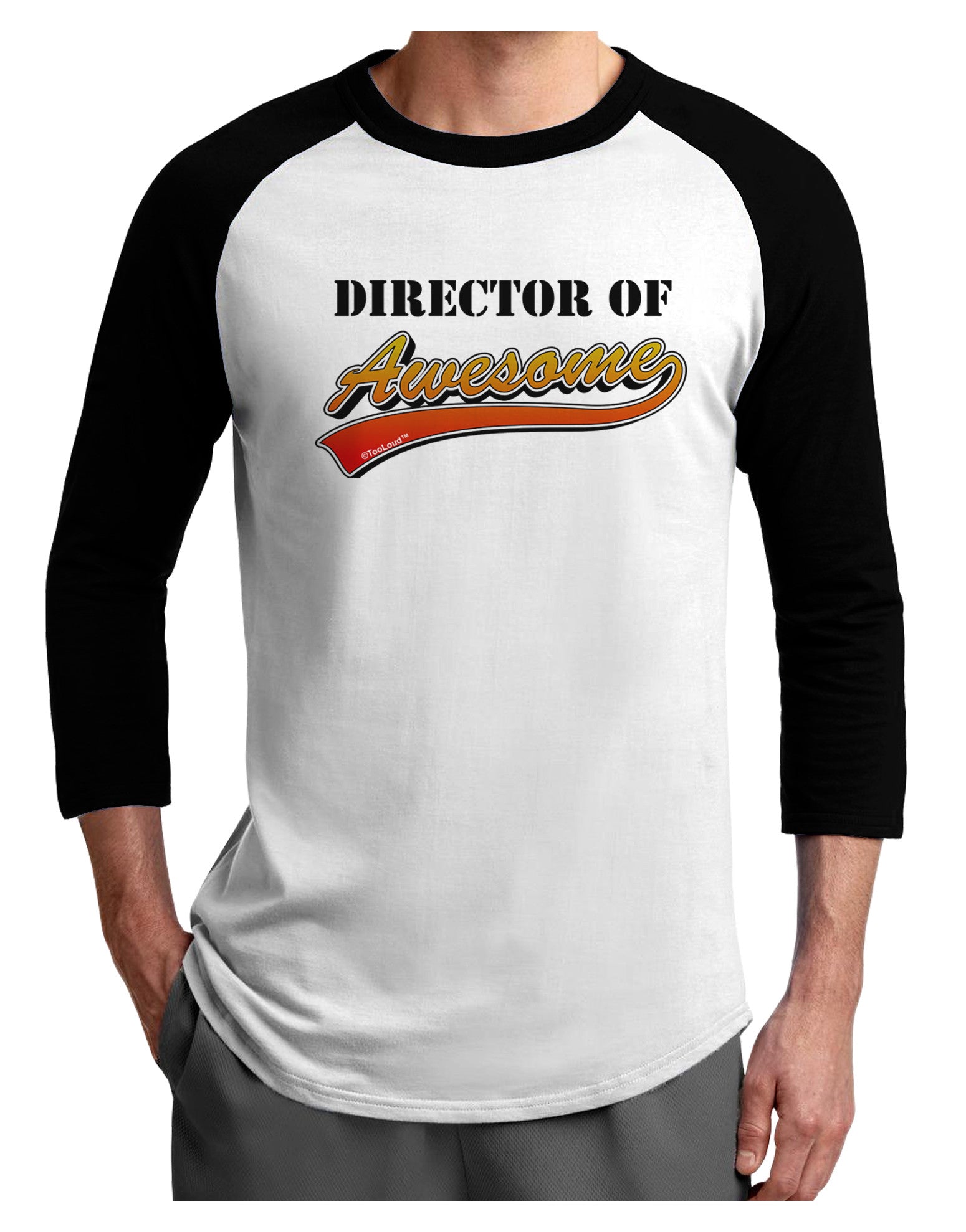 Director Of Awesome Adult Raglan Shirt-Raglan Shirt-TooLoud-White-Black-X-Small-Davson Sales