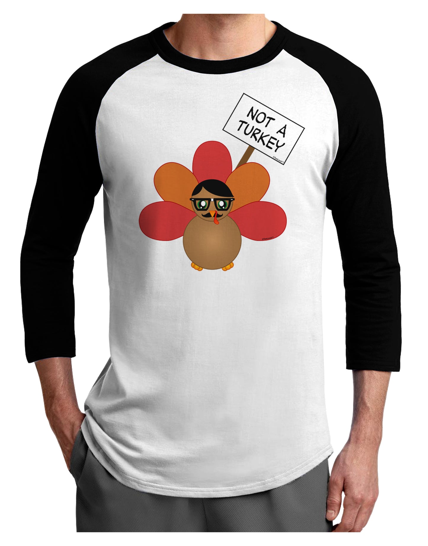 Thanksgiving Turkey in Disguise Adult Raglan Shirt by TooLoud-TooLoud-White-Black-X-Small-Davson Sales