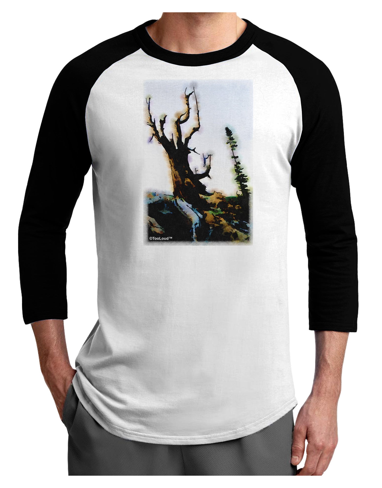 CO Mountain Scenery Watercolor Adult Raglan Shirt-TooLoud-White-Black-X-Small-Davson Sales