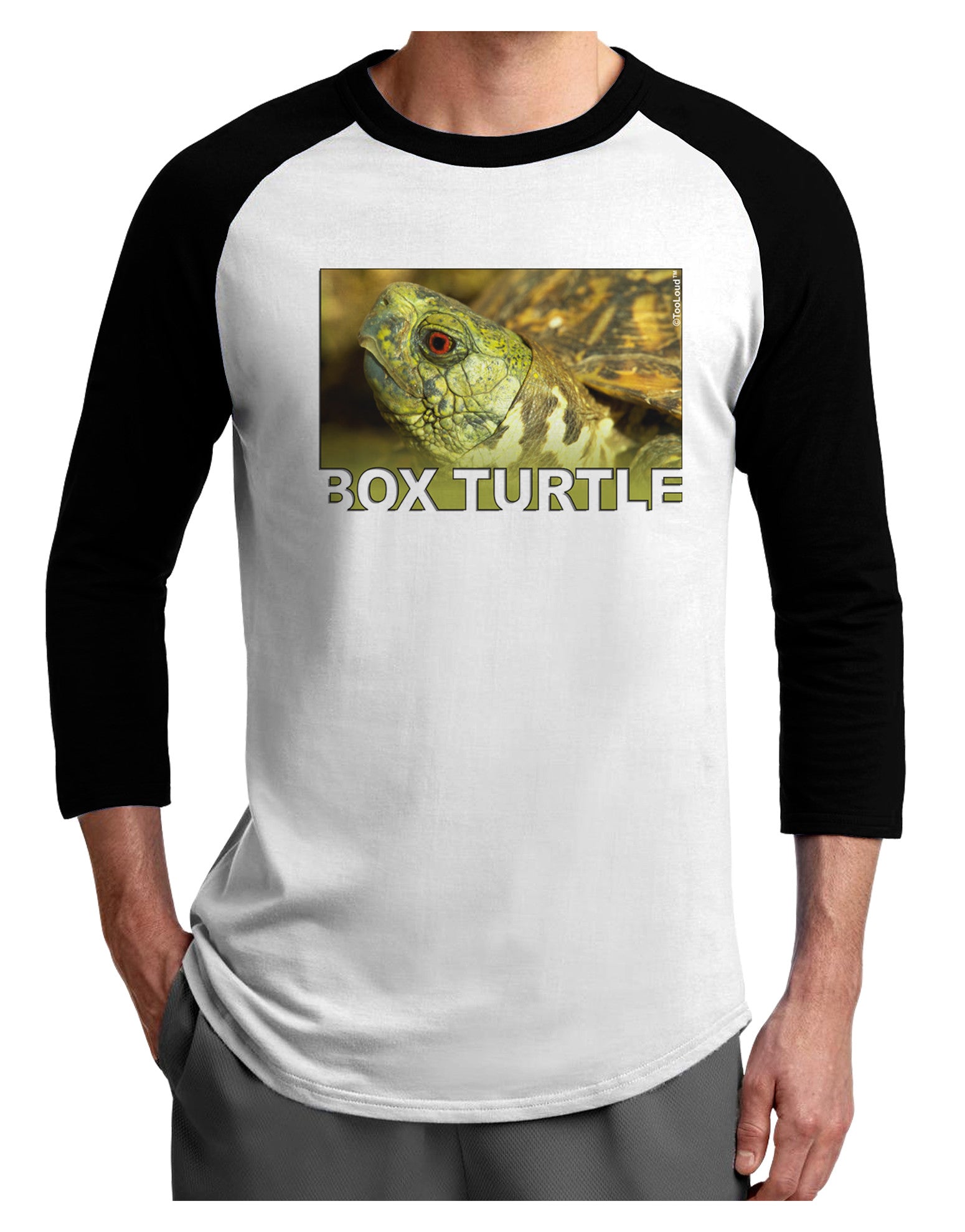 Menacing Turtle with Text Adult Raglan Shirt-Raglan Shirt-TooLoud-White-Black-X-Small-Davson Sales