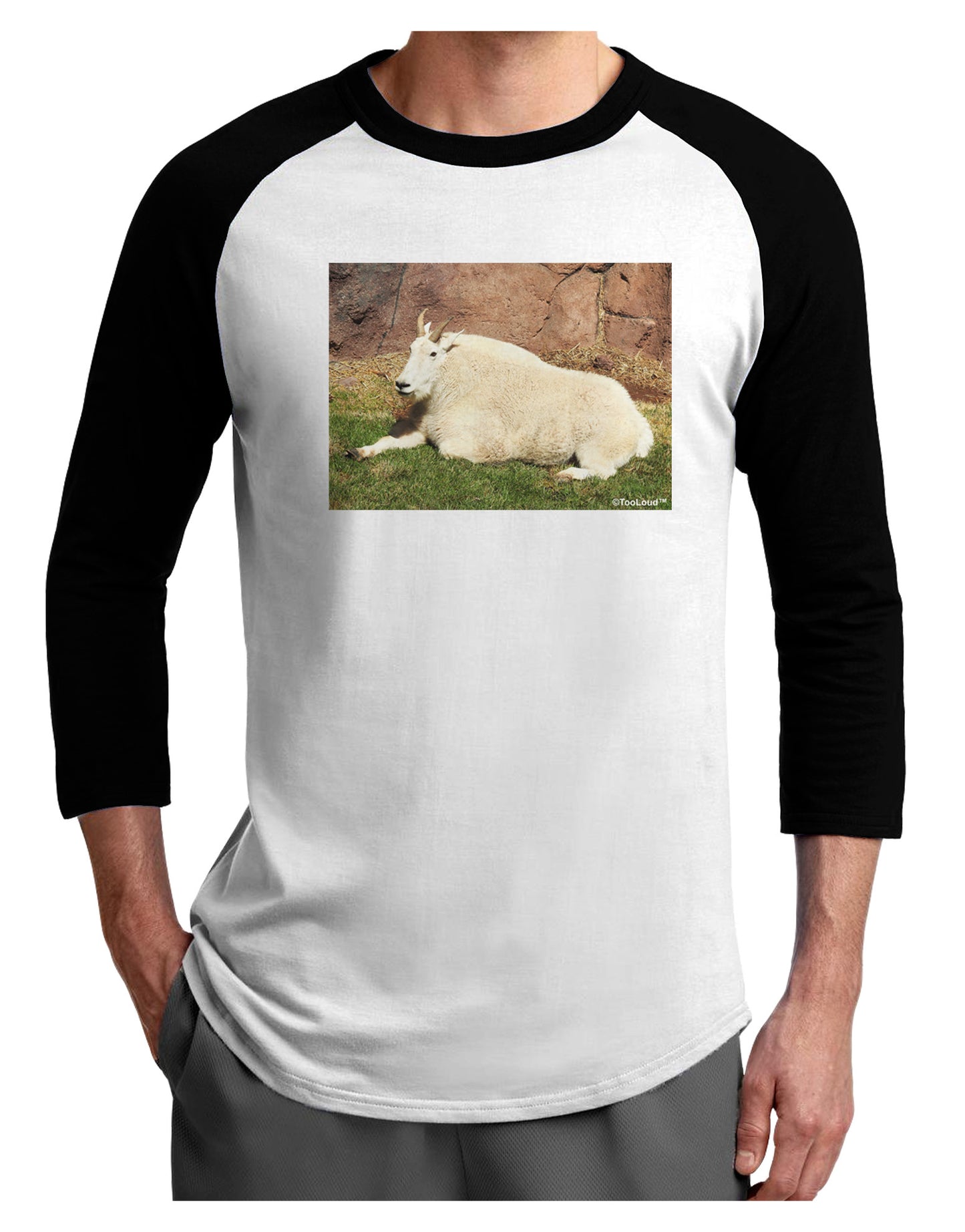 Relaxing Ram Adult Raglan Shirt-Raglan Shirt-TooLoud-White-Black-X-Small-Davson Sales
