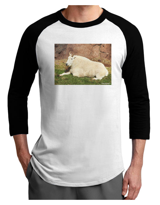 Relaxing Ram Adult Raglan Shirt-Raglan Shirt-TooLoud-White-Black-X-Small-Davson Sales
