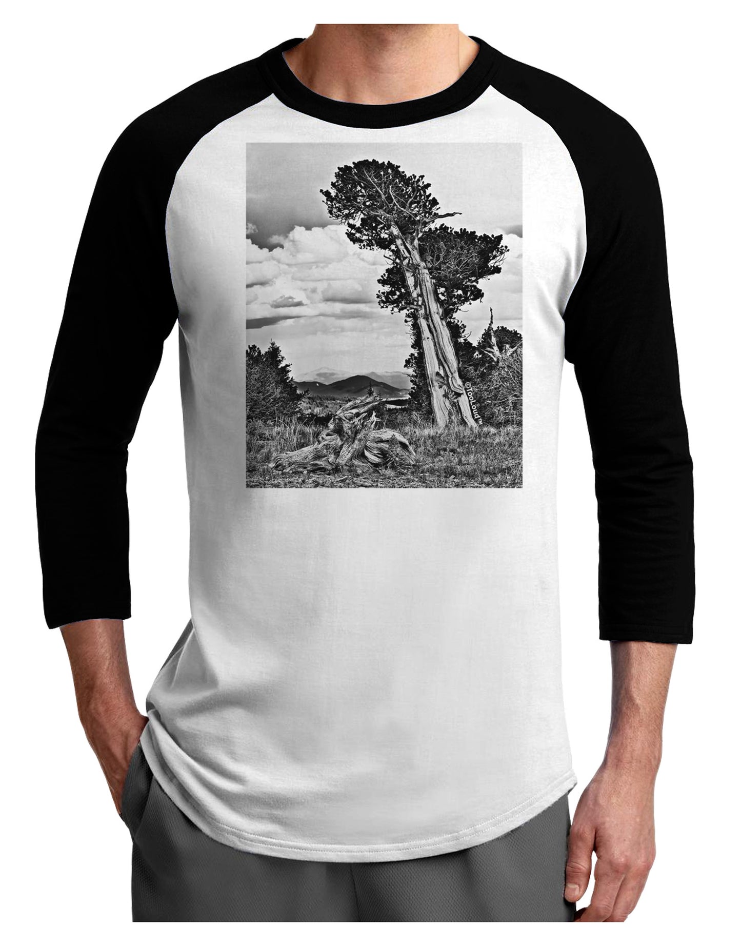 Colorado Landscape Monochrome Adult Raglan Shirt-TooLoud-White-Black-X-Small-Davson Sales