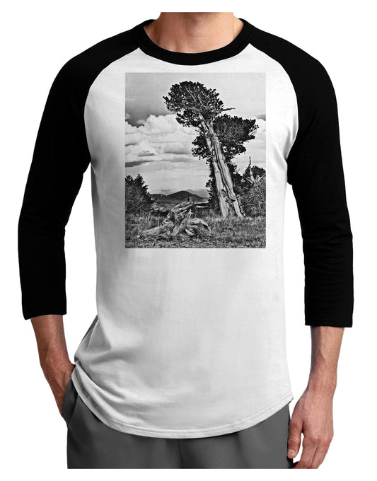 Colorado Landscape Monochrome Adult Raglan Shirt-TooLoud-White-Black-X-Small-Davson Sales