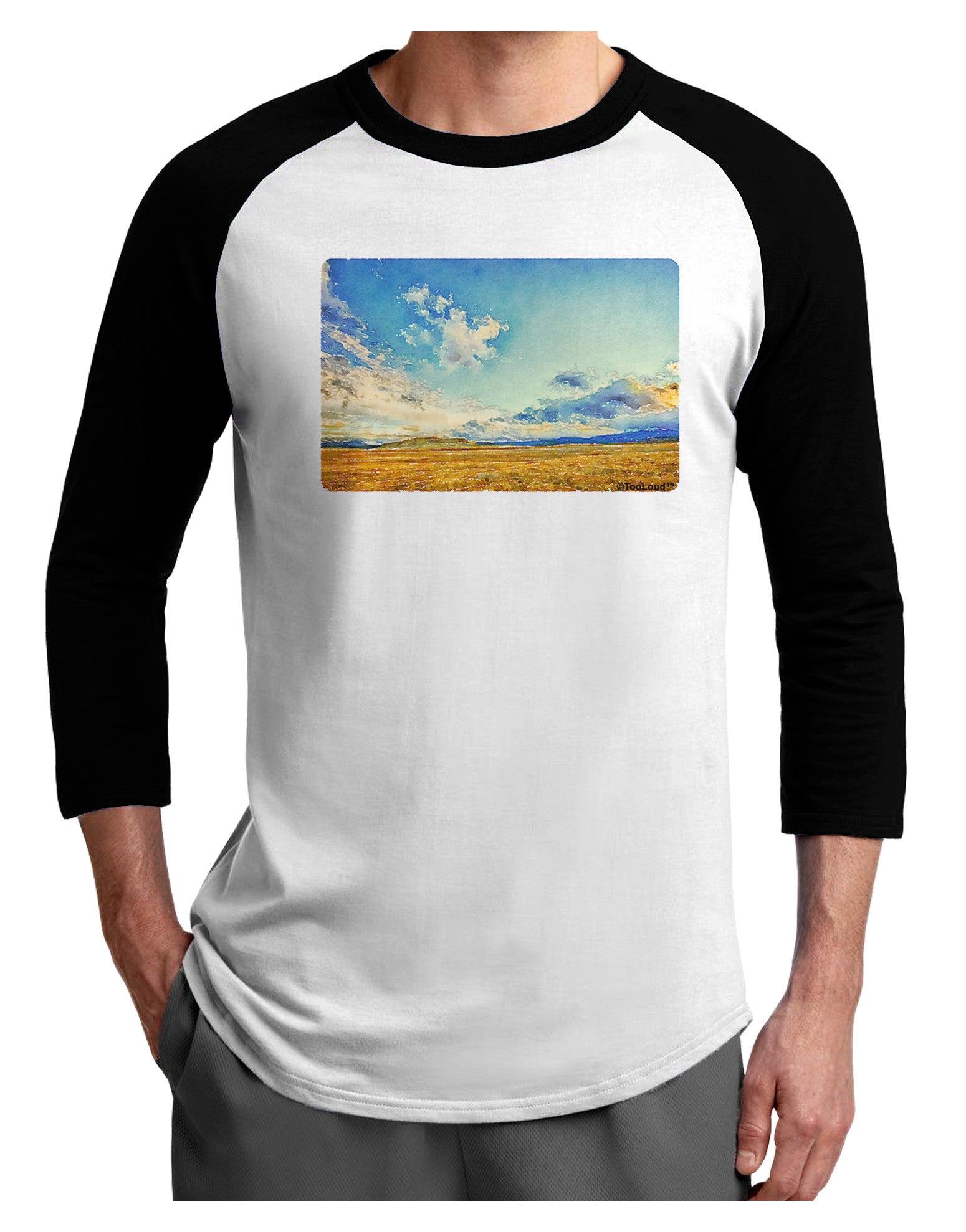 Garden of the Gods Watercolor Adult Raglan Shirt-TooLoud-White-Black-X-Small-Davson Sales