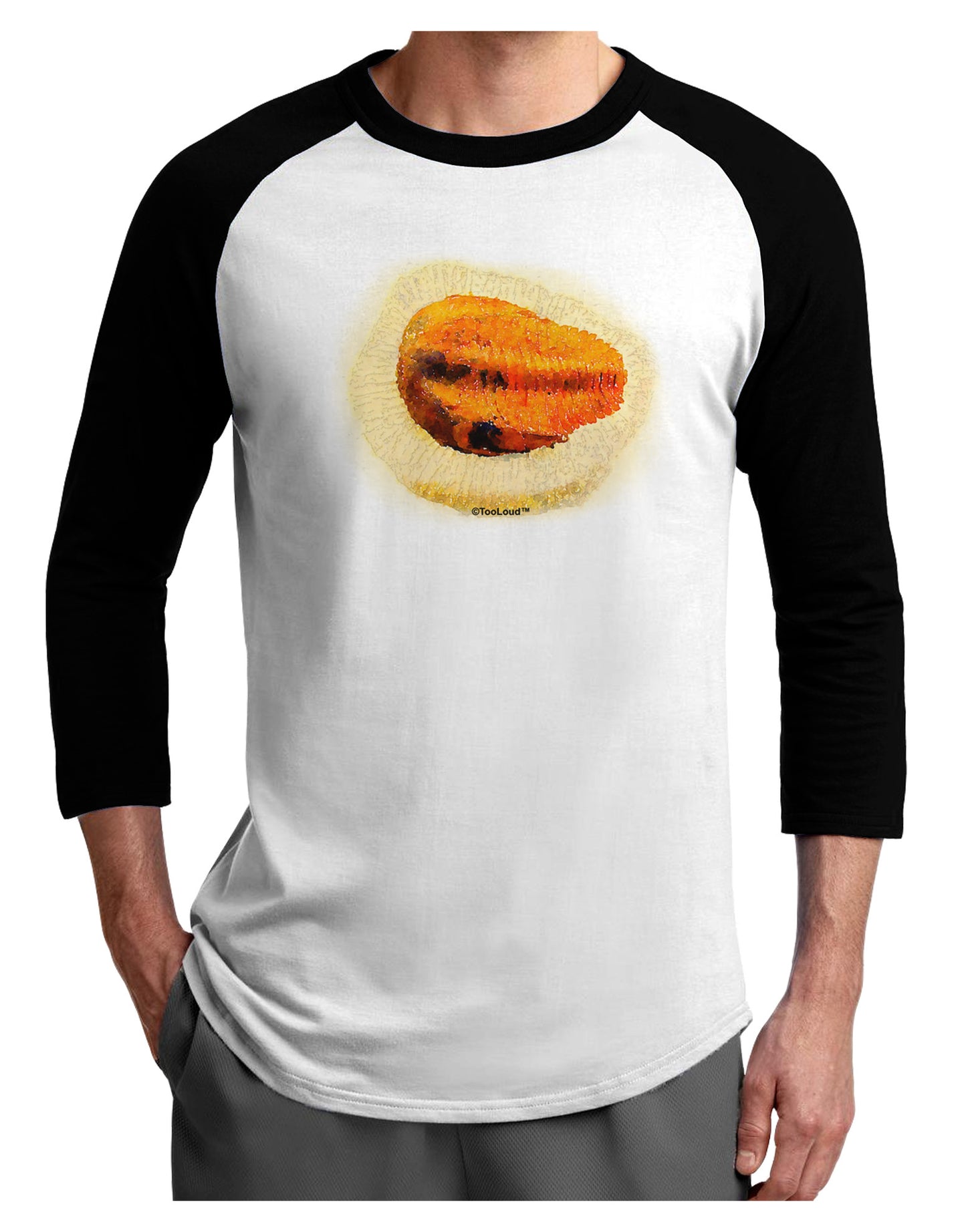 Trilobite Fossil Watercolor Adult Raglan Shirt-TooLoud-White-Black-X-Small-Davson Sales
