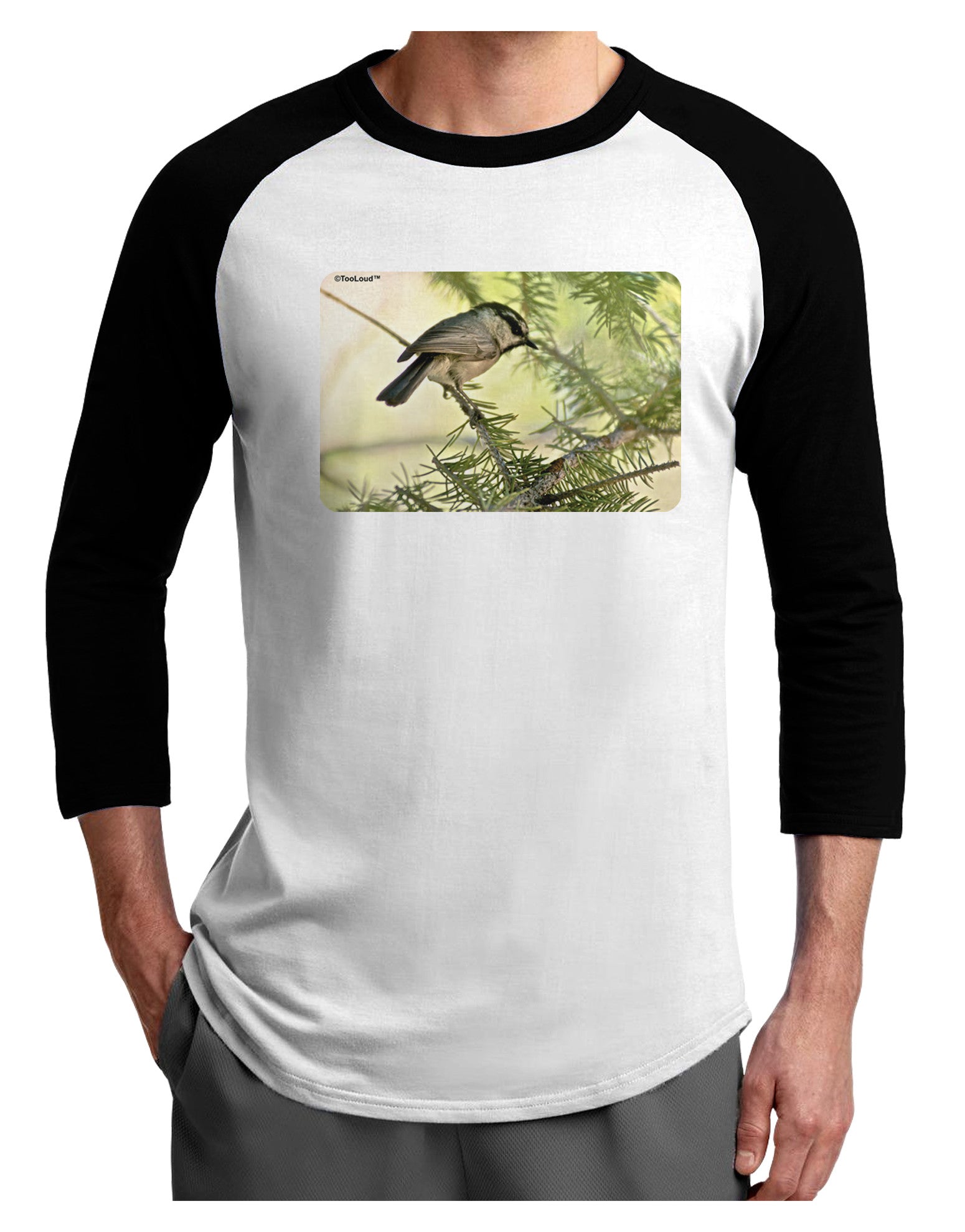 CO Chickadee Adult Raglan Shirt-Raglan Shirt-TooLoud-White-Black-X-Small-Davson Sales