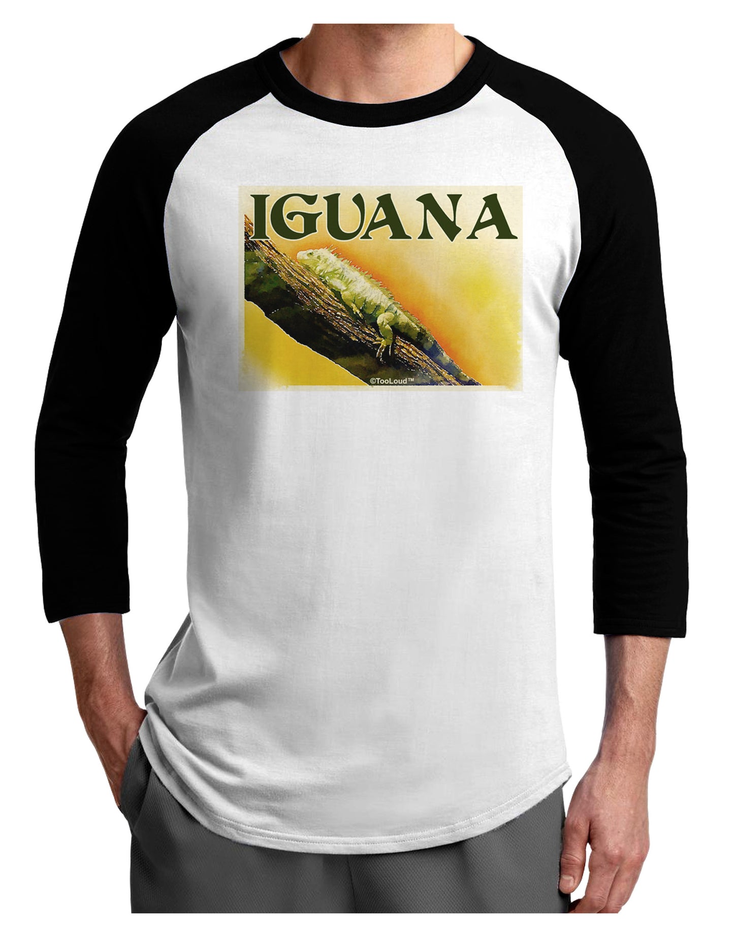 Iguana Watercolor Text Adult Raglan Shirt-TooLoud-White-Black-X-Small-Davson Sales