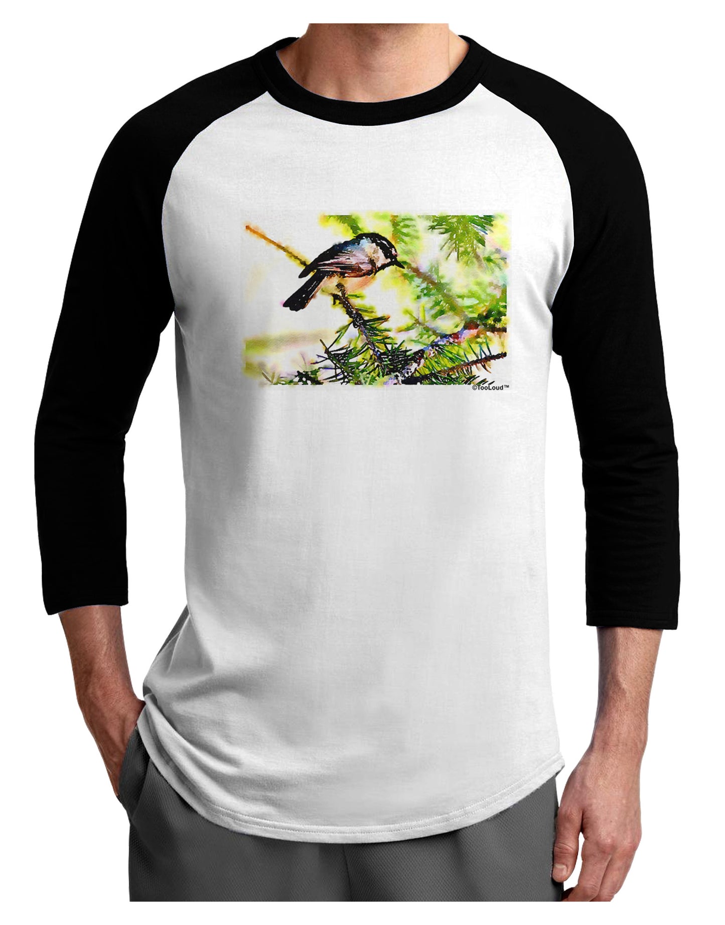 CO Chickadee Watercolor Adult Raglan Shirt-Raglan Shirt-TooLoud-White-Black-X-Small-Davson Sales
