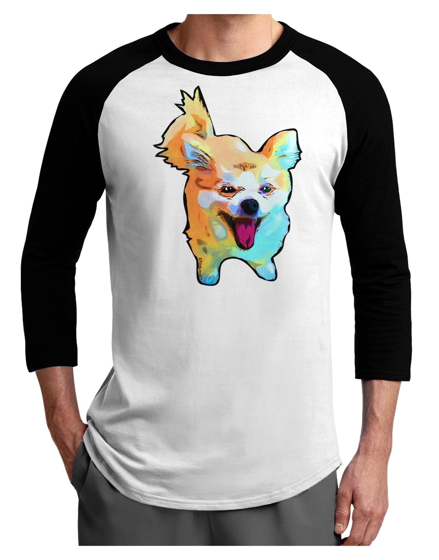 Cartoon Pomeranian Adult Raglan Shirt-Raglan Shirt-TooLoud-White-Black-X-Small-Davson Sales