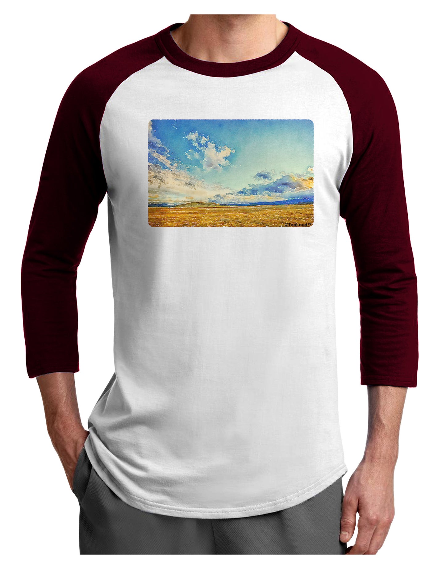 Garden of the Gods Watercolor Adult Raglan Shirt-TooLoud-White-Cardinal-X-Small-Davson Sales