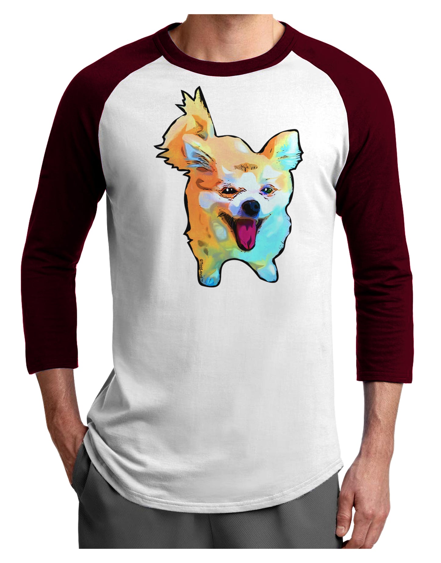 Cartoon Pomeranian Adult Raglan Shirt-Raglan Shirt-TooLoud-White-Cardinal-X-Small-Davson Sales