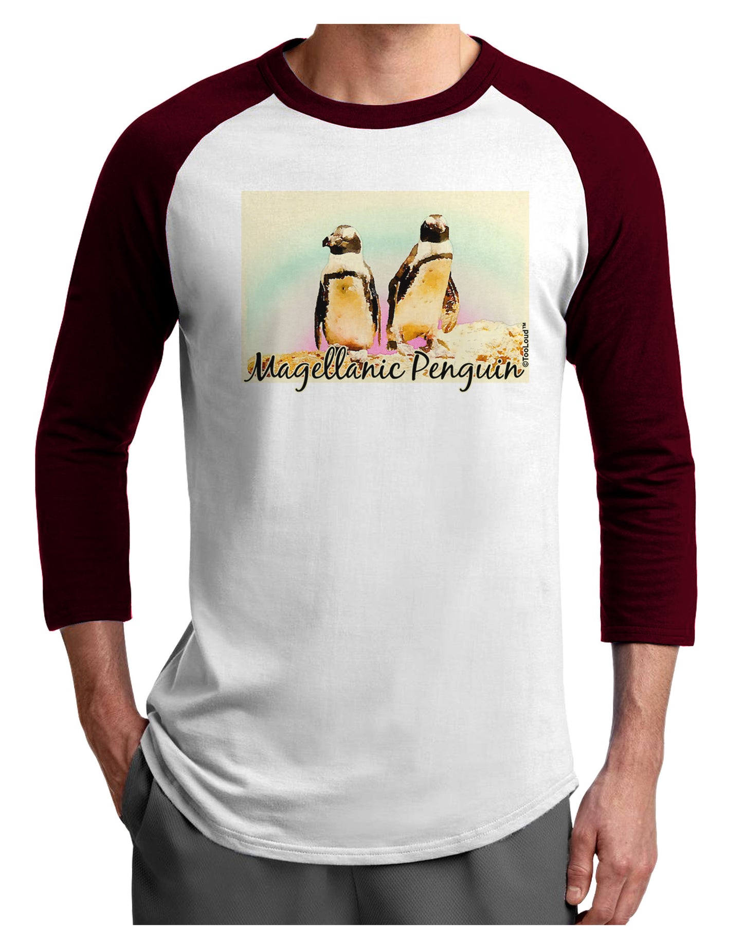 Magellanic Penguin Text Adult Raglan Shirt-TooLoud-White-Cardinal-X-Small-Davson Sales