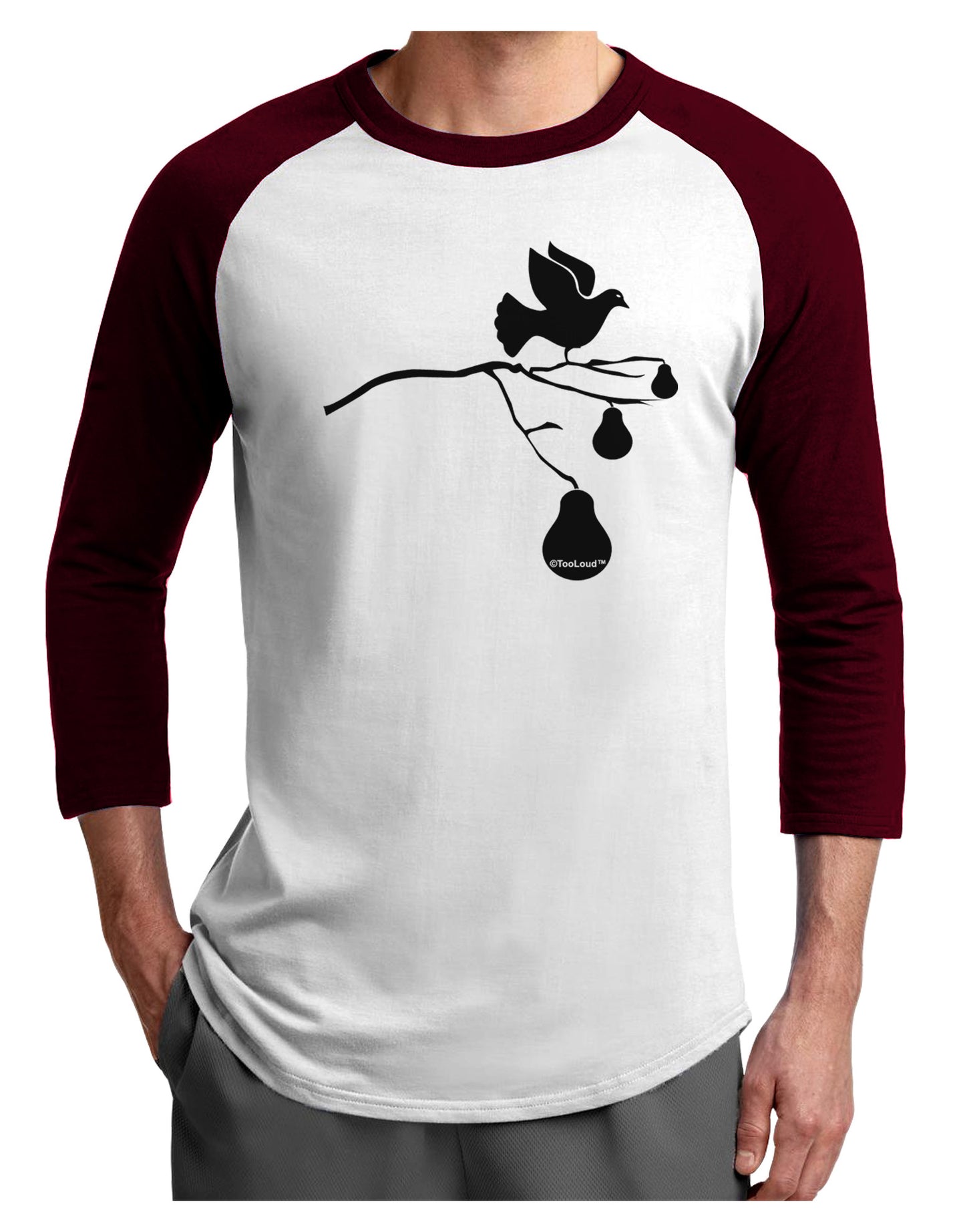 Partridge In A Pear Tree Adult Raglan Shirt-TooLoud-White-Cardinal-X-Small-Davson Sales