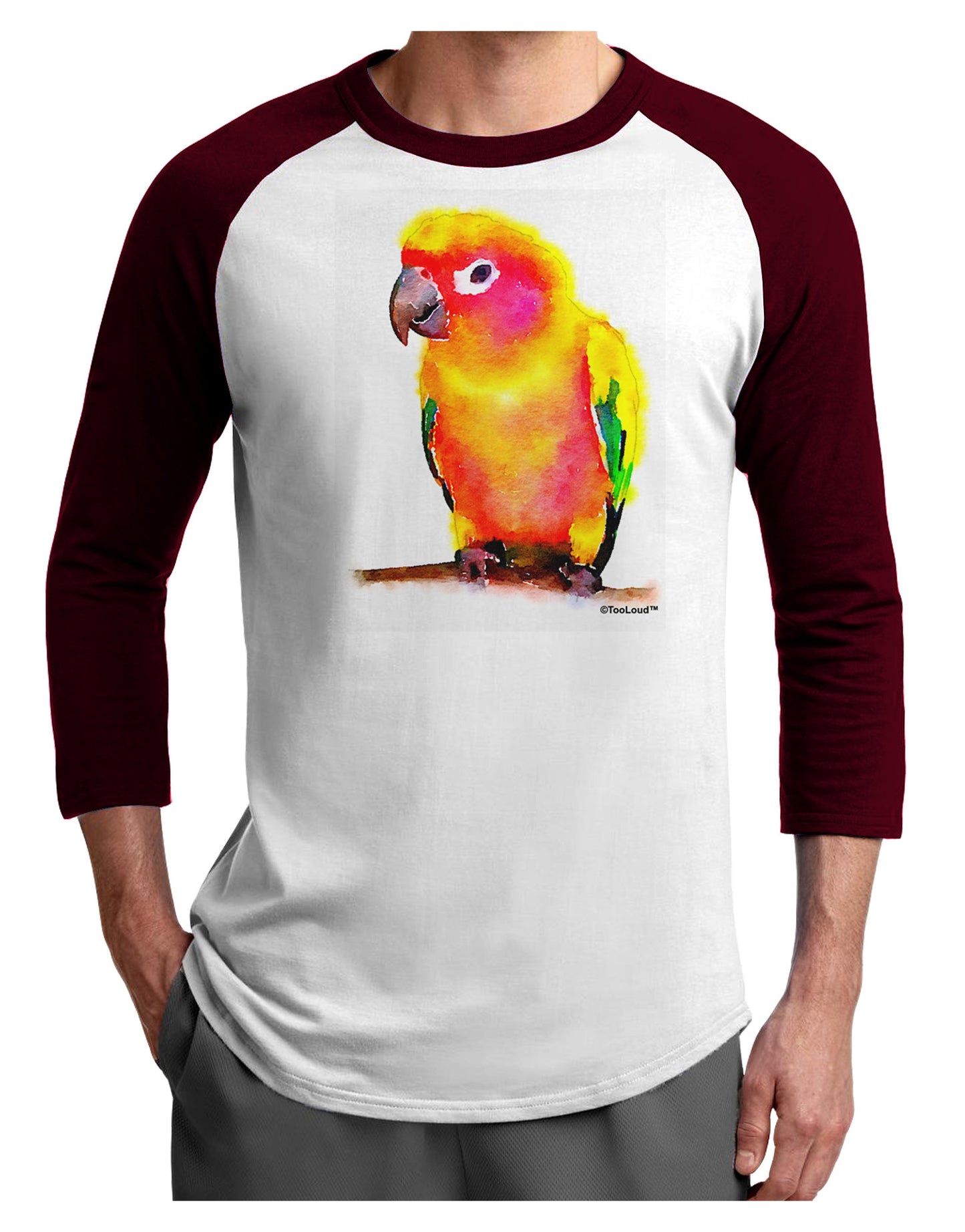 Sun Conure Parrot Watercolor Adult Raglan Shirt-TooLoud-White-Cardinal-X-Small-Davson Sales