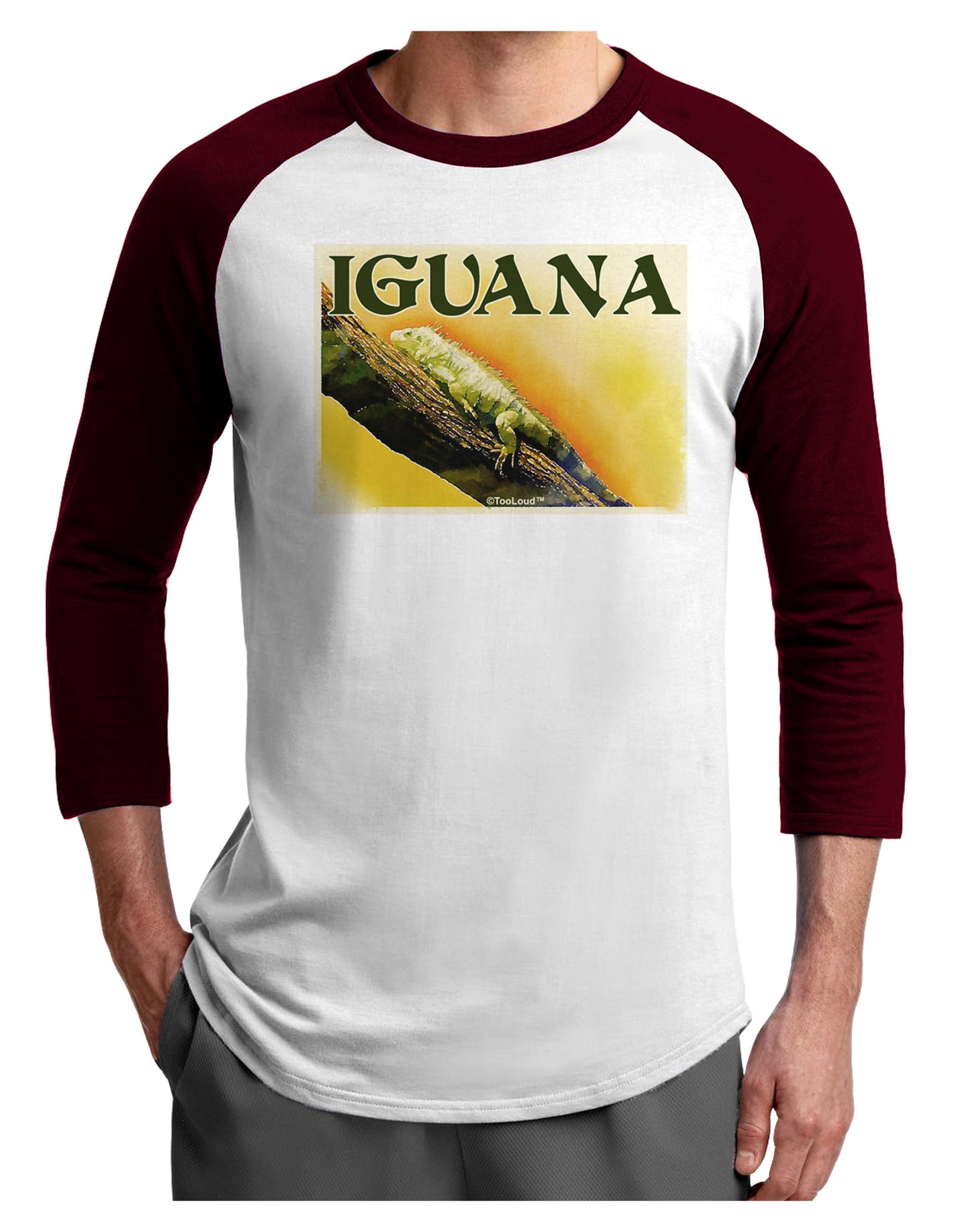 Iguana Watercolor Text Adult Raglan Shirt-TooLoud-White-Cardinal-X-Small-Davson Sales