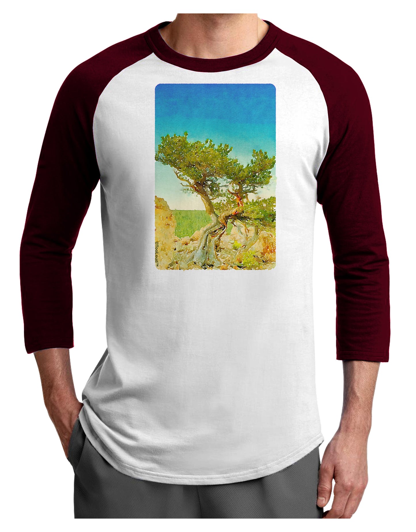 Colorado Tree Watercolor Adult Raglan Shirt-TooLoud-White-Cardinal-X-Small-Davson Sales
