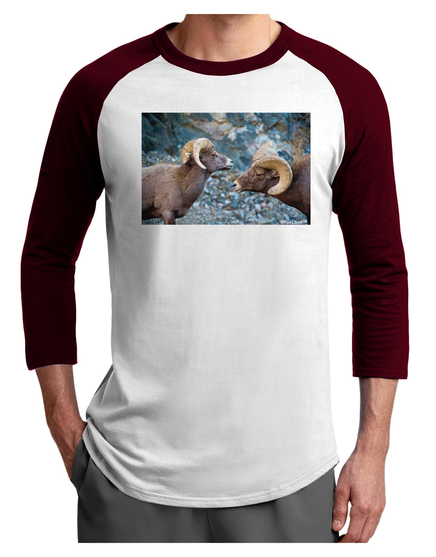 Two Bighorn Rams Adult Raglan Shirt-TooLoud-White-Cardinal-X-Small-Davson Sales