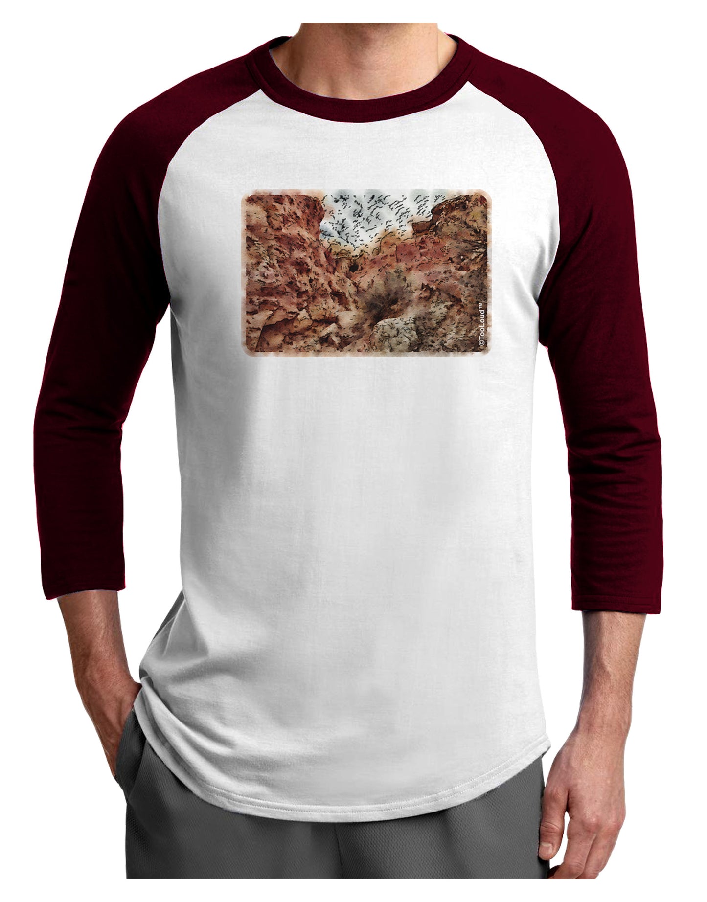 Colorado Painted Rocks Watercolor Adult Raglan Shirt-Raglan Shirt-TooLoud-White-Cardinal-X-Small-Davson Sales