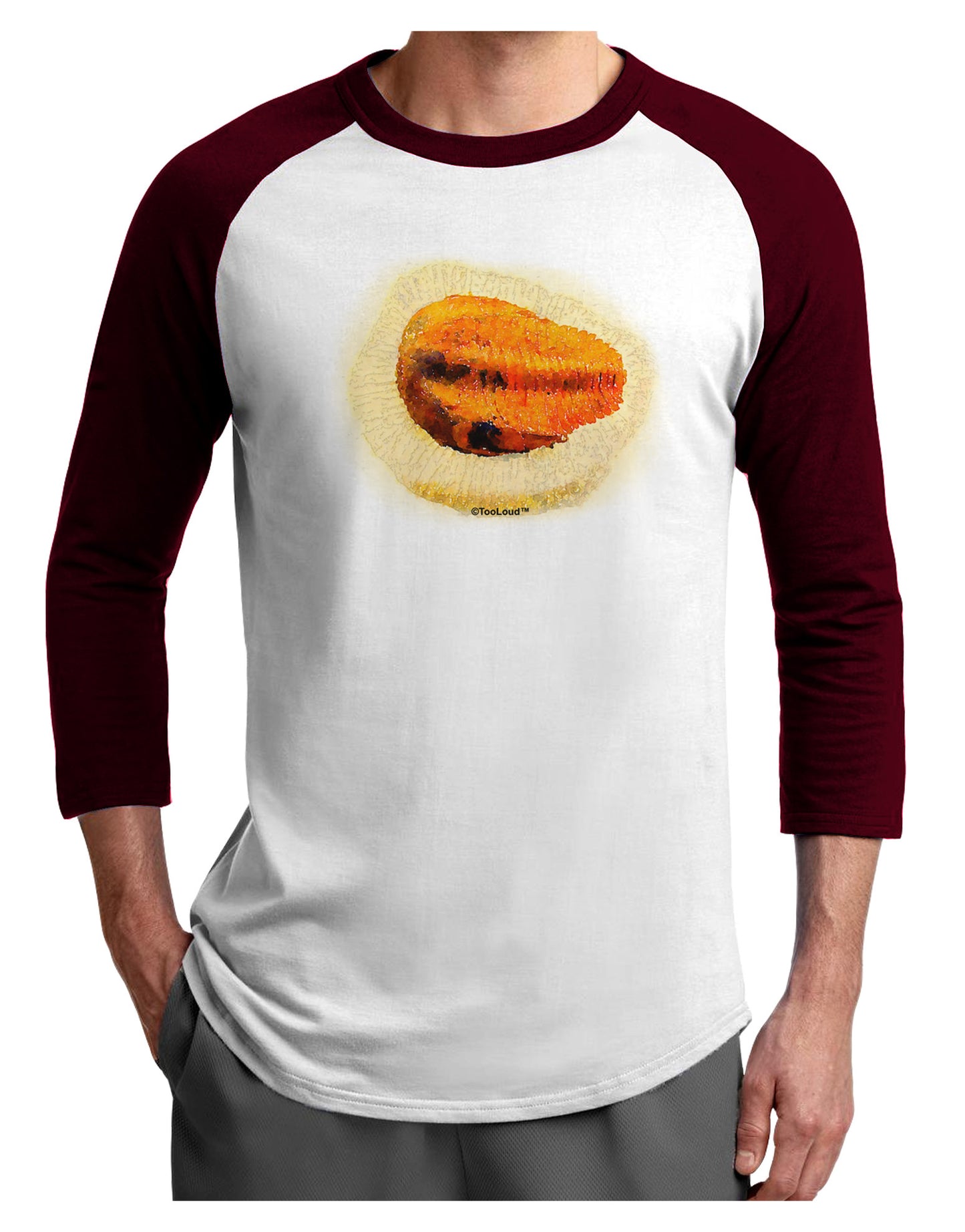 Trilobite Fossil Watercolor Adult Raglan Shirt-TooLoud-White-Cardinal-X-Small-Davson Sales