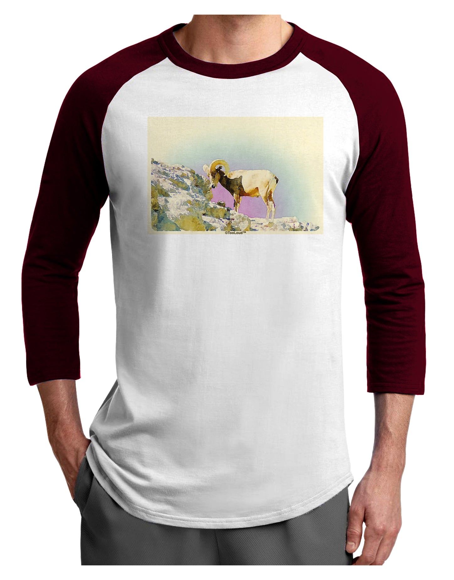 Bighorn Ram Watercolor Adult Raglan Shirt-TooLoud-White-Cardinal-X-Small-Davson Sales